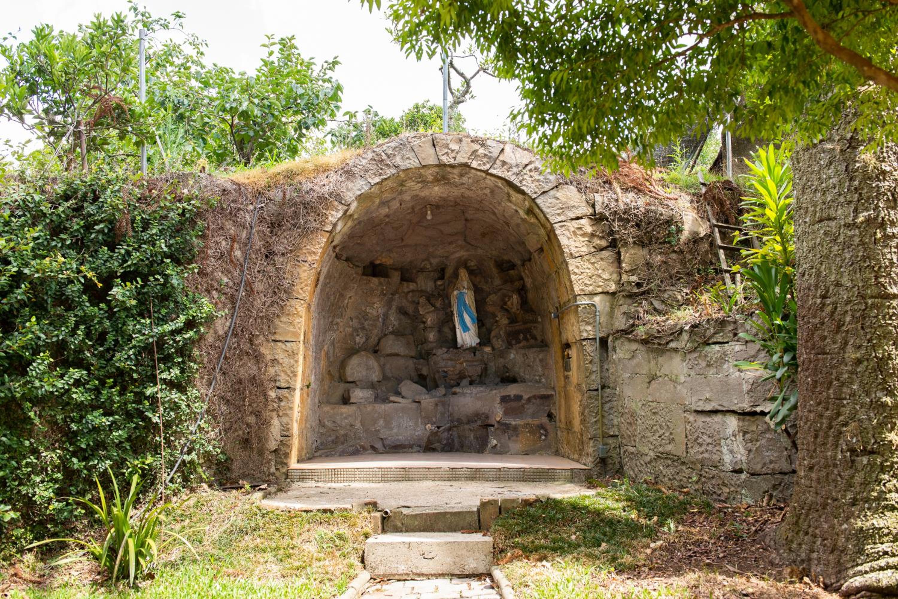 Photo 19