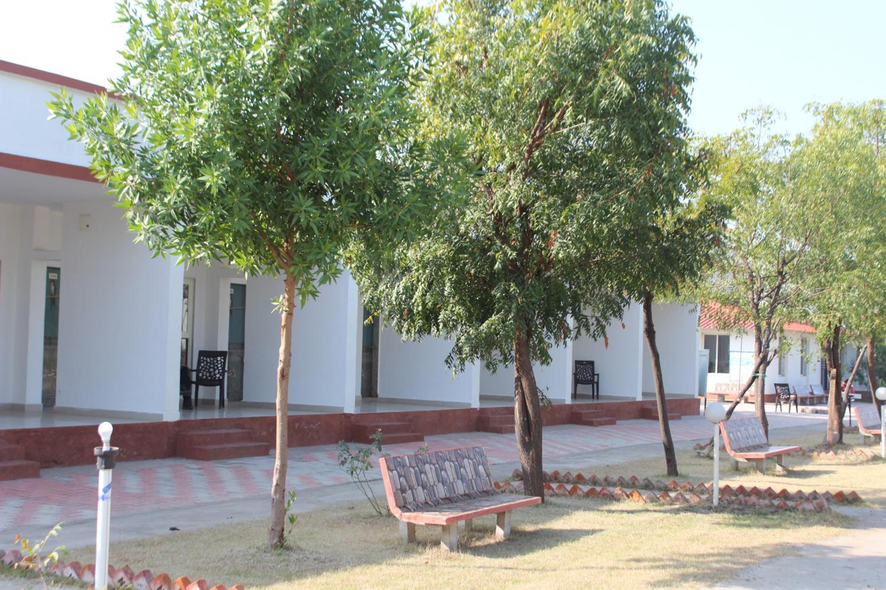 Photo 7