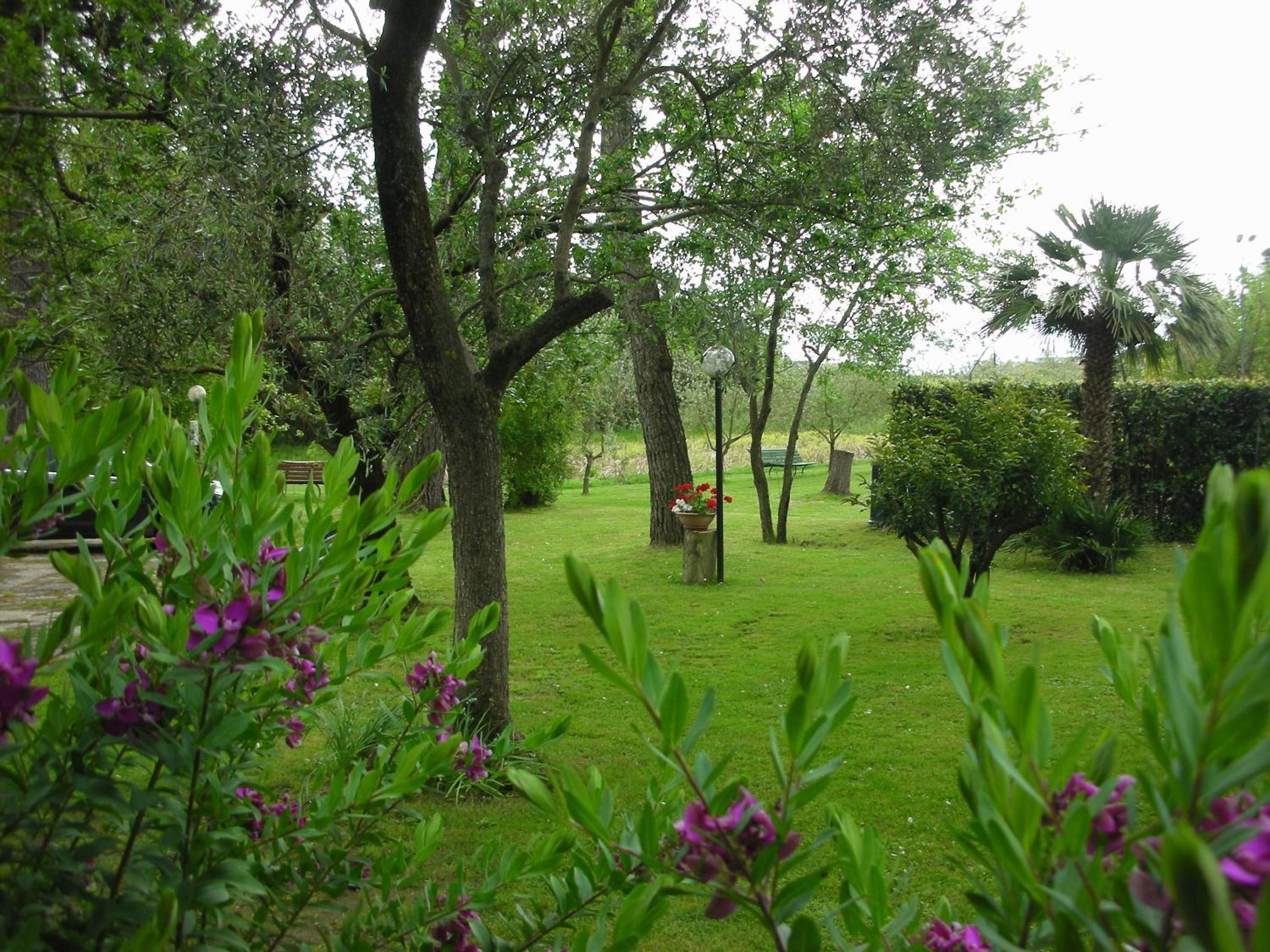 Photo 46