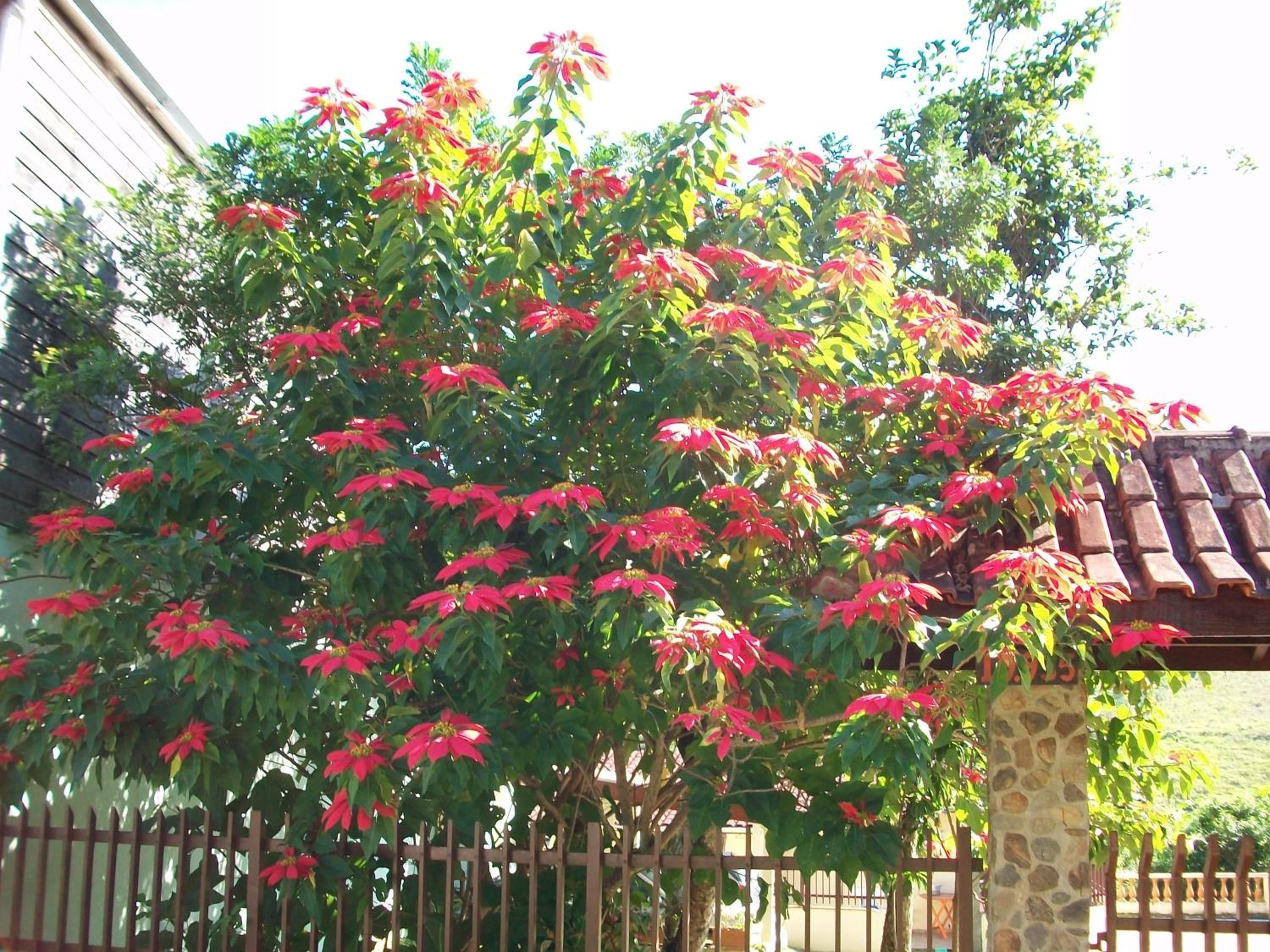 Chacara na Serra da Mantiqueira