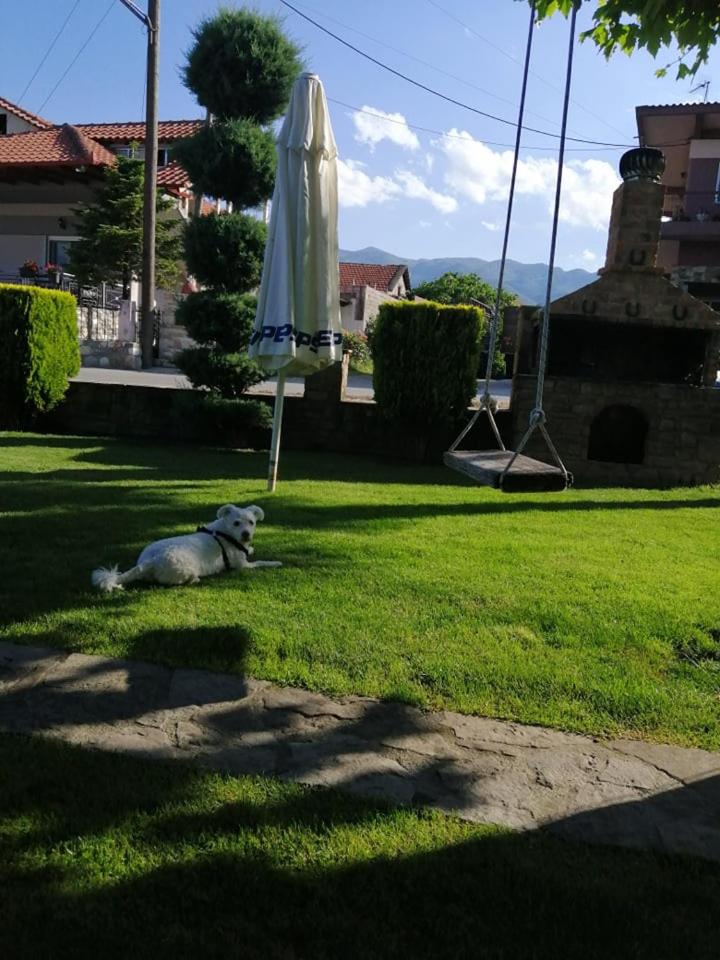 Photo 56
