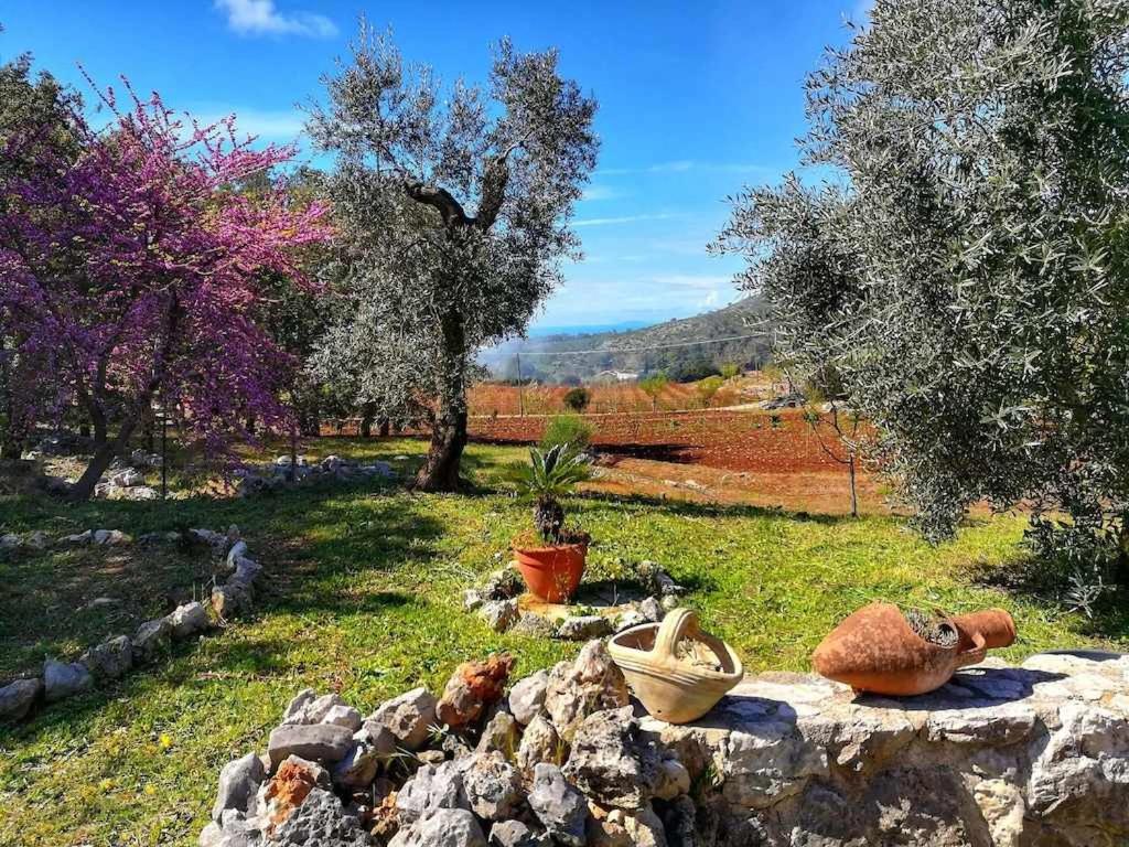 VILLA CYCAS relax tra mare e natura view 2