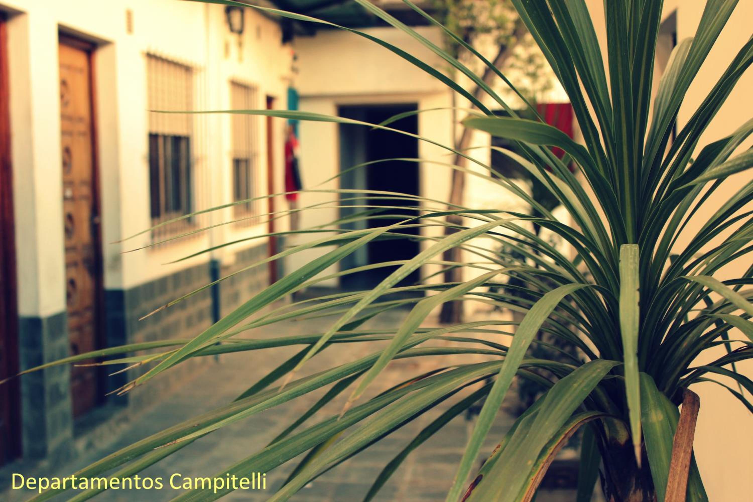 Departamentos Campitelli