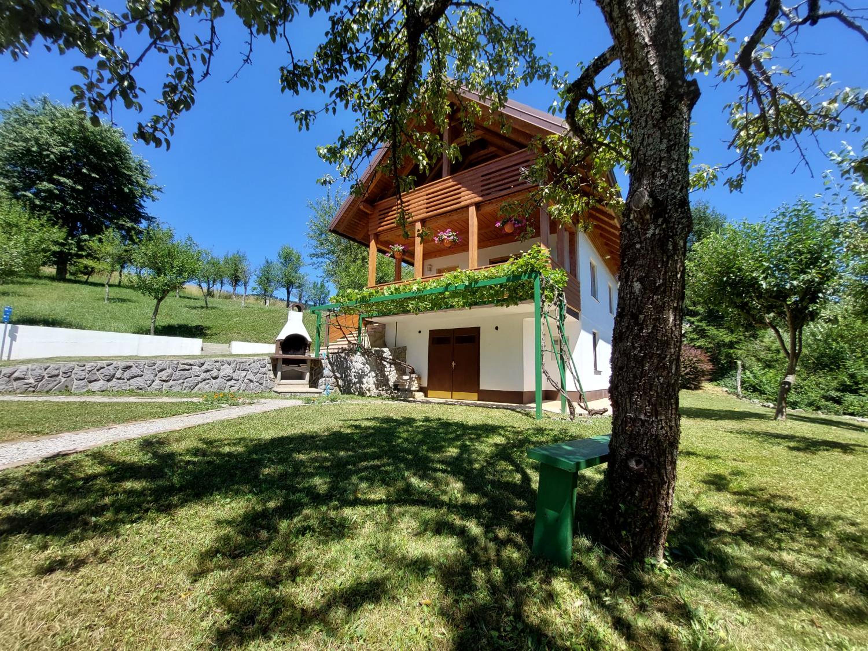 Photo 11