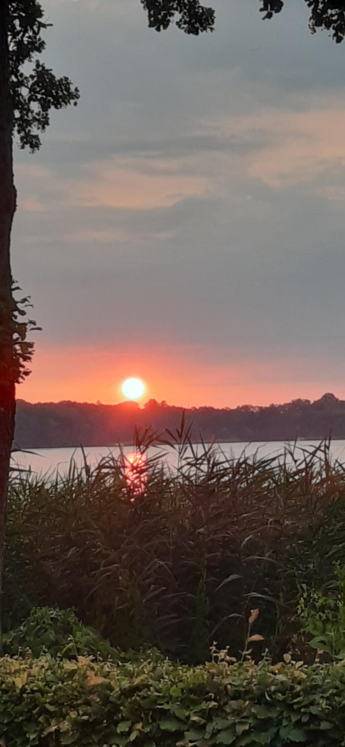 Bungalow Idylle Am See