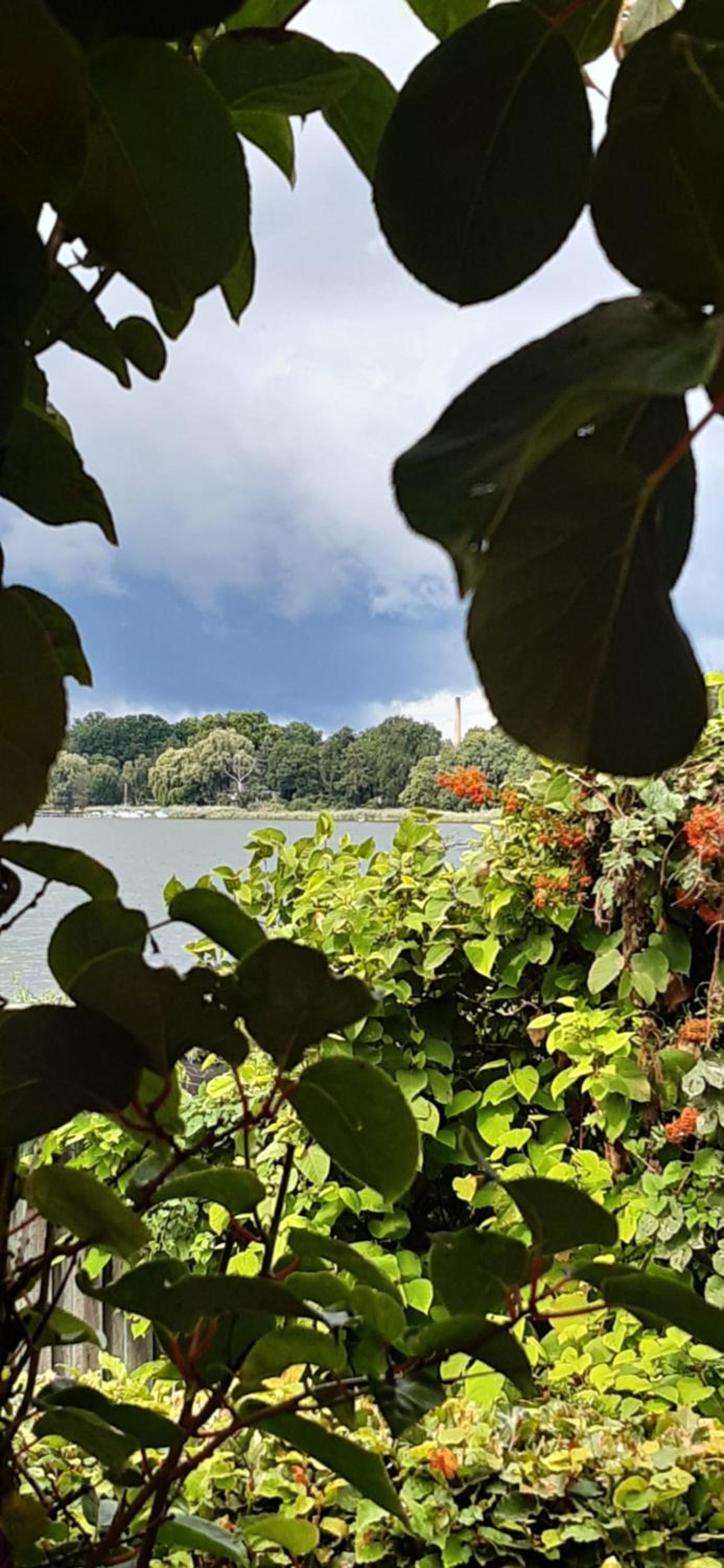 Bungalow Idylle Am See