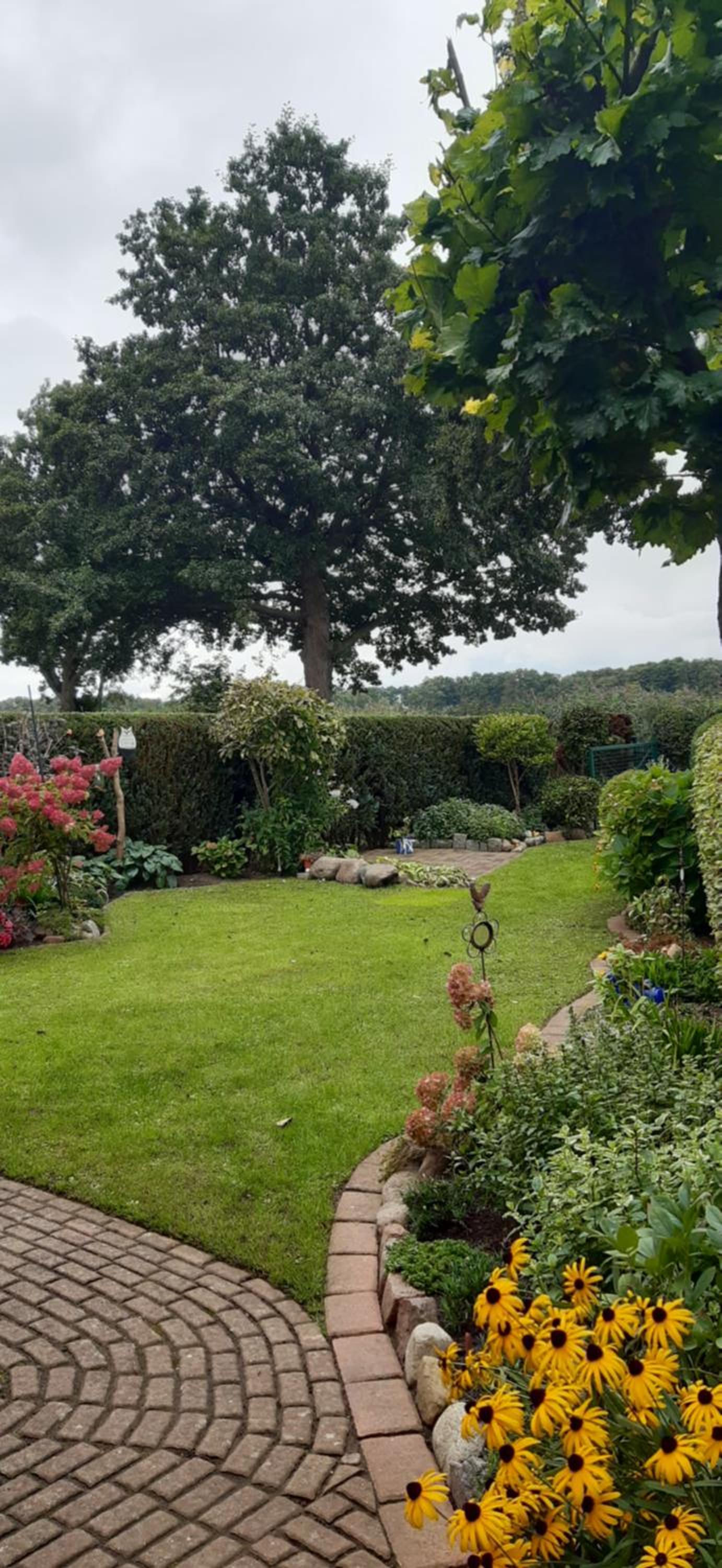 Bungalow Idylle Am See