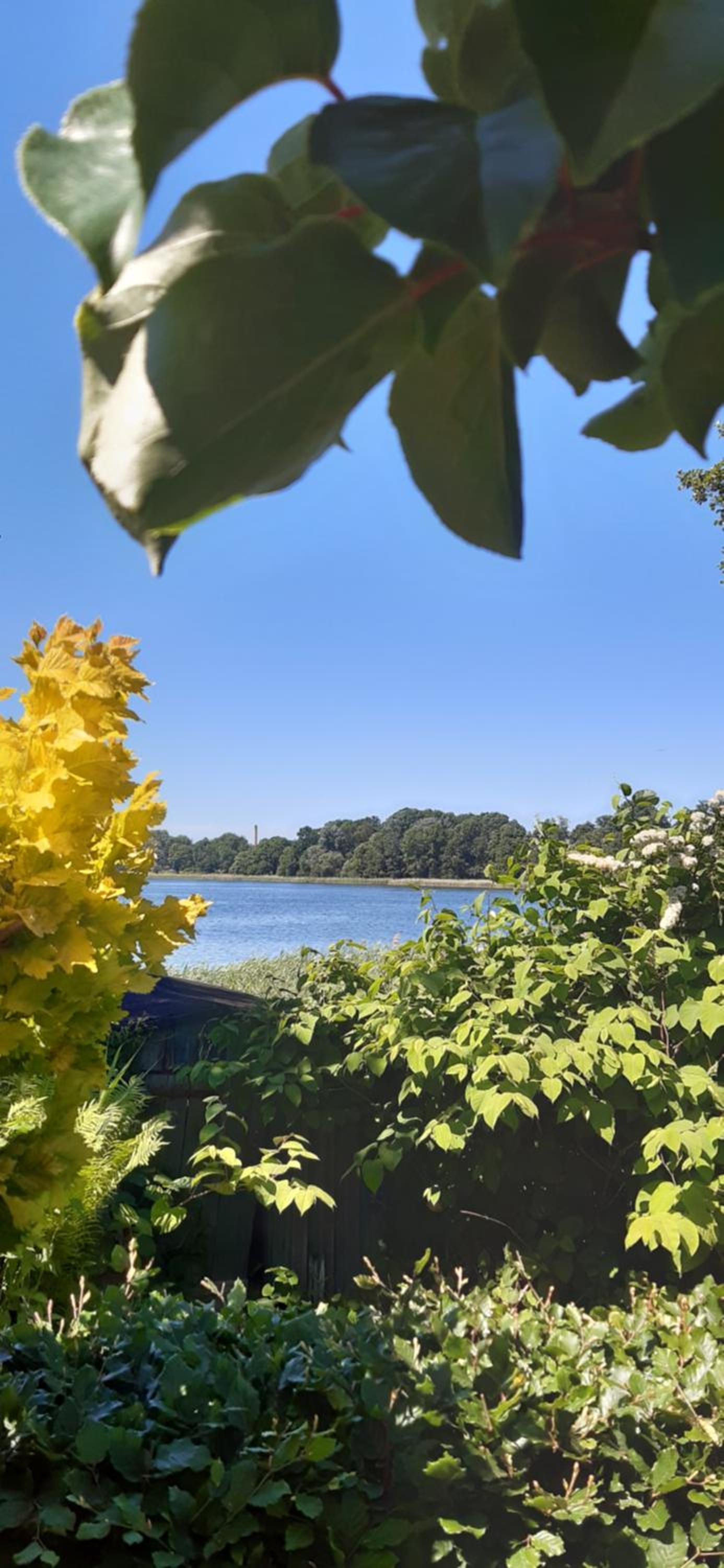 Bungalow Idylle Am See