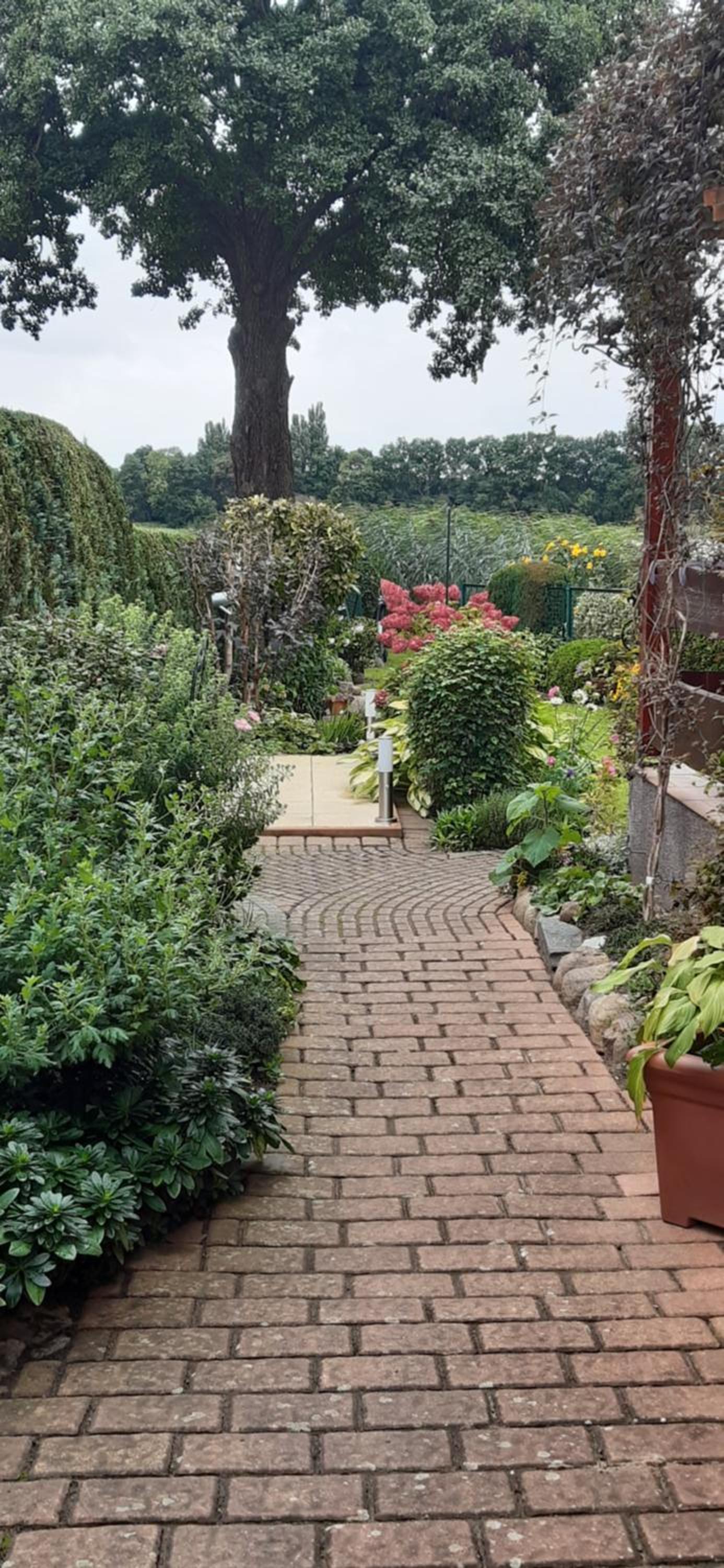 Bungalow Idylle Am See