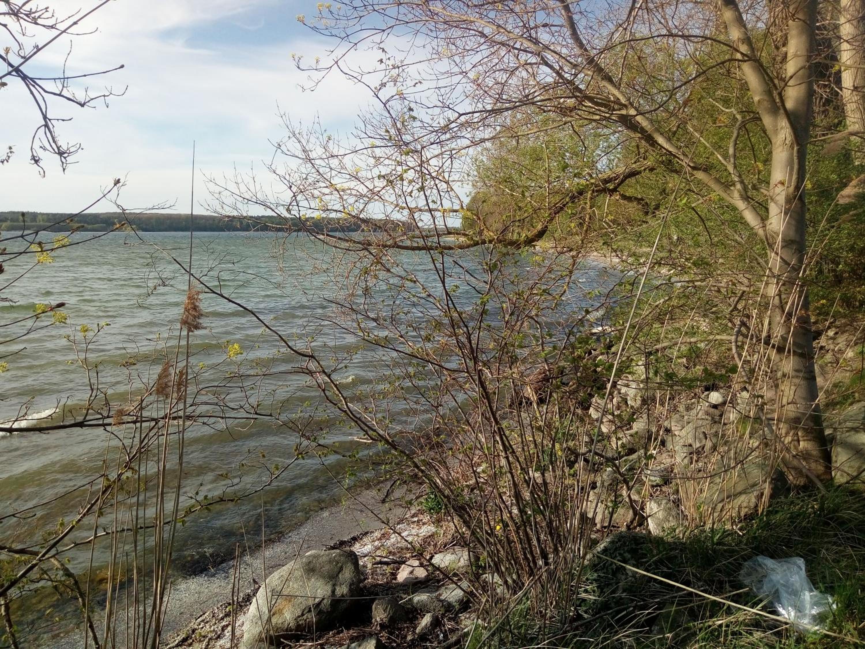 Lenzer Parkblick am Plauer See