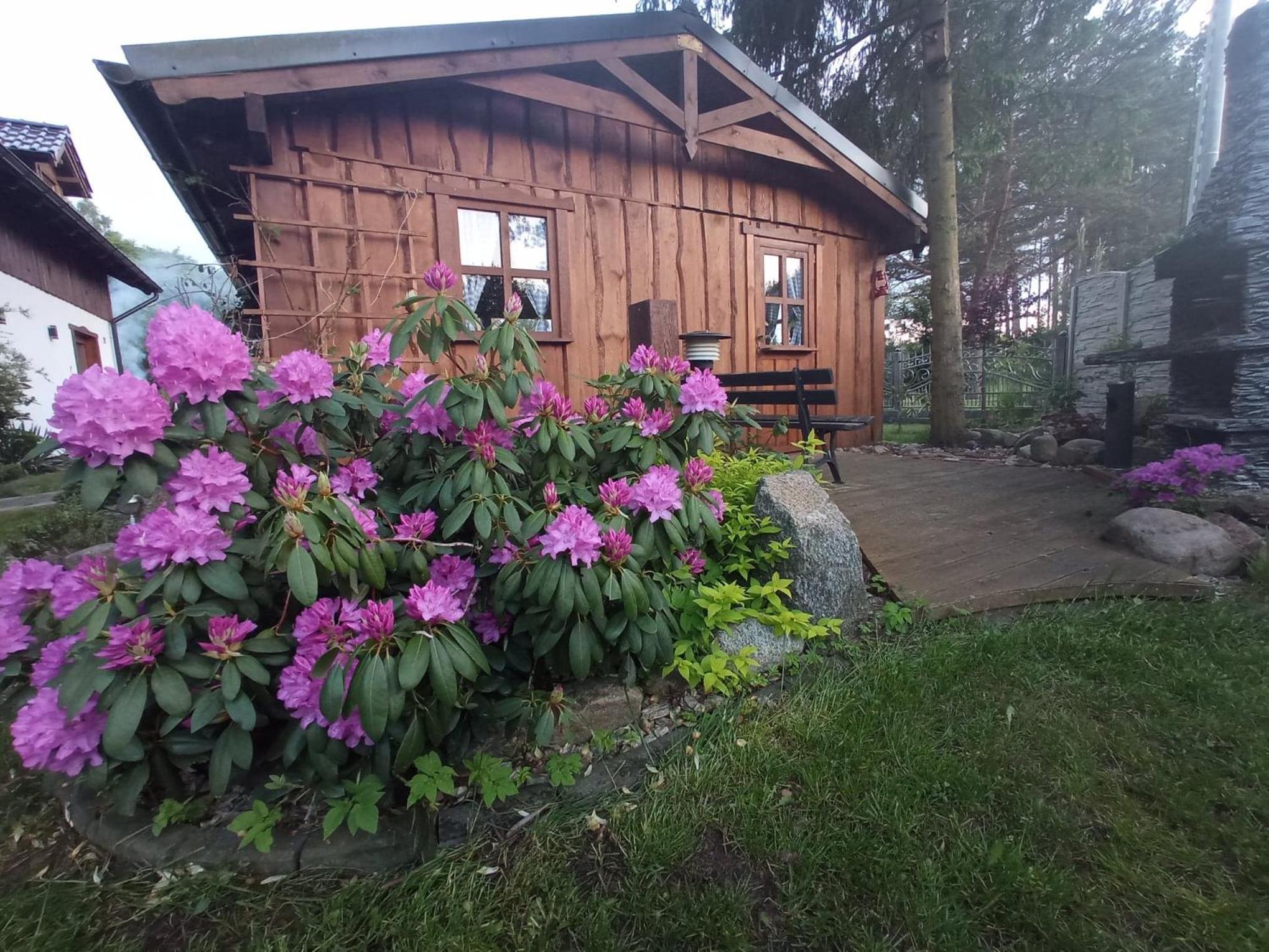 Photo 23