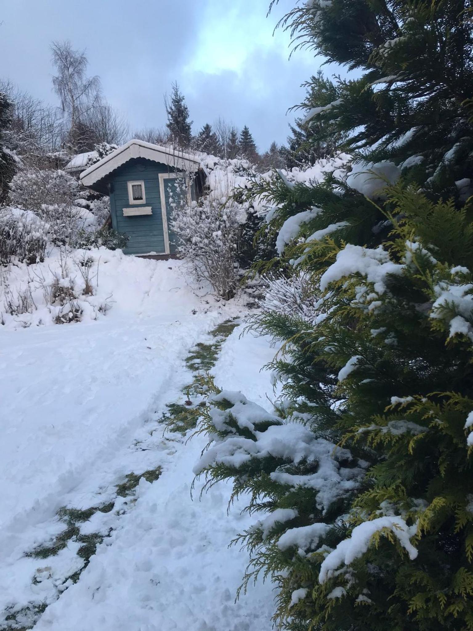Schönwald Waldchalet am Musenberg view 2