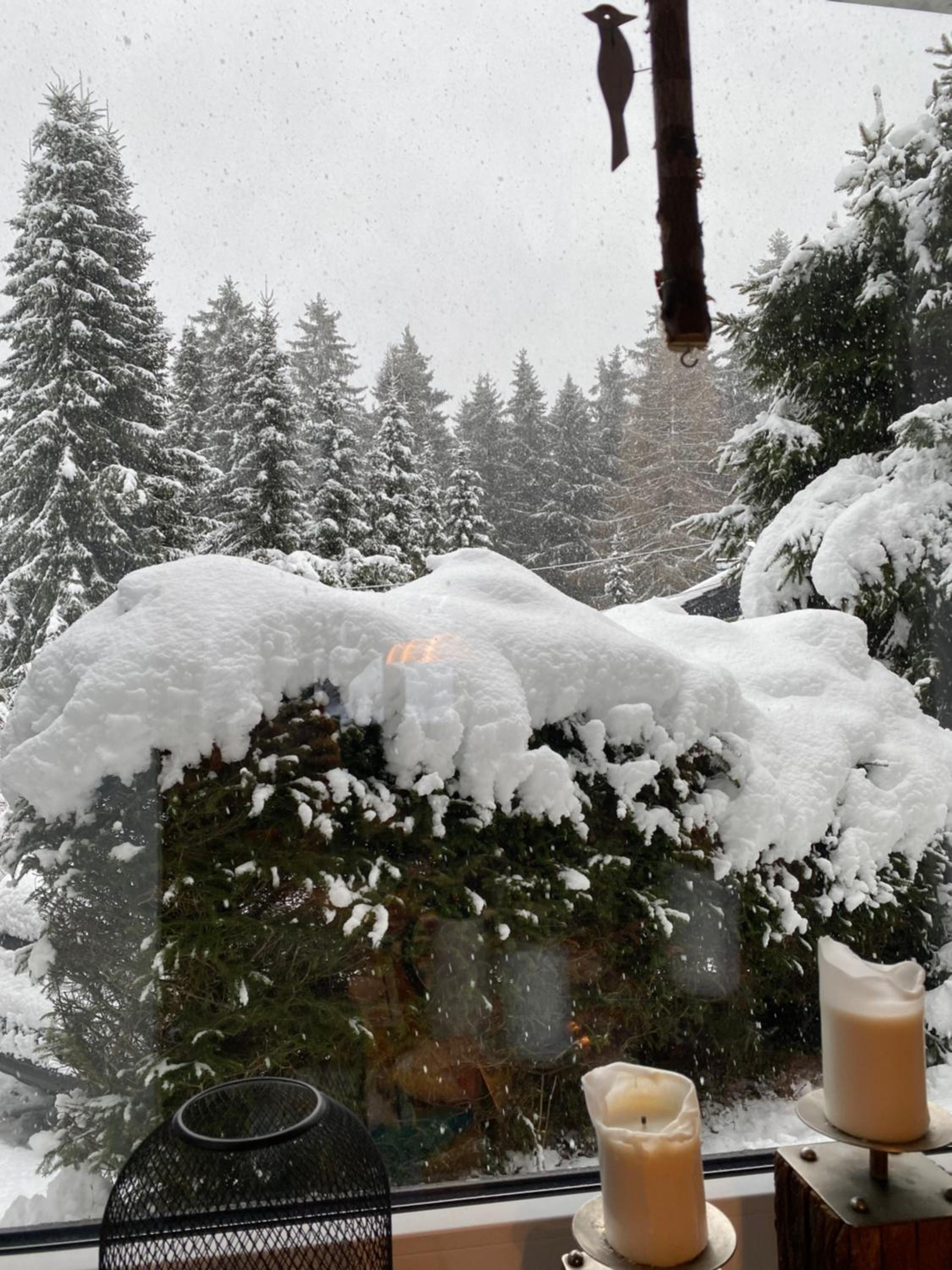 Schönwald Waldchalet am Musenberg view 3