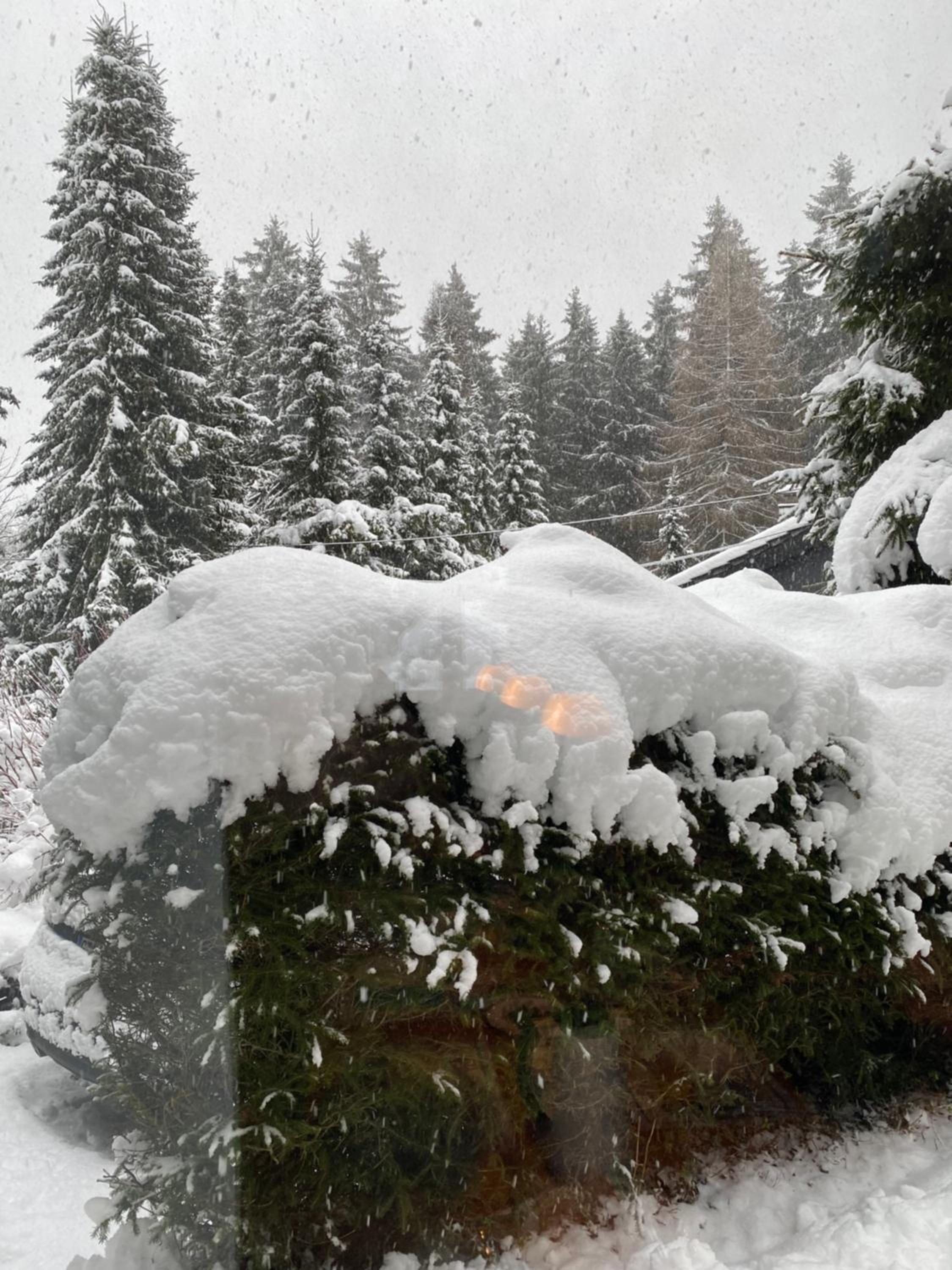 Schönwald Waldchalet am Musenberg view 5