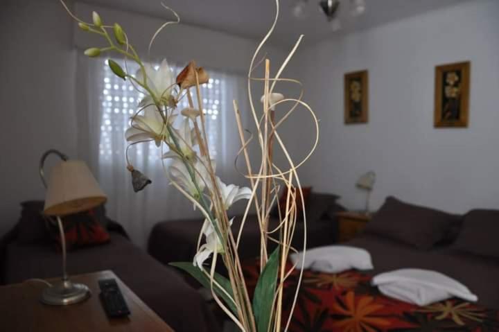 Hosteria La casa de Ketty