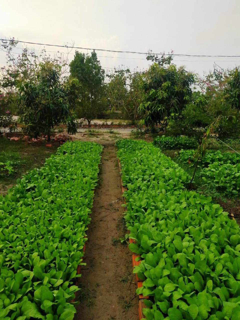 LA'S FARMSTAY
