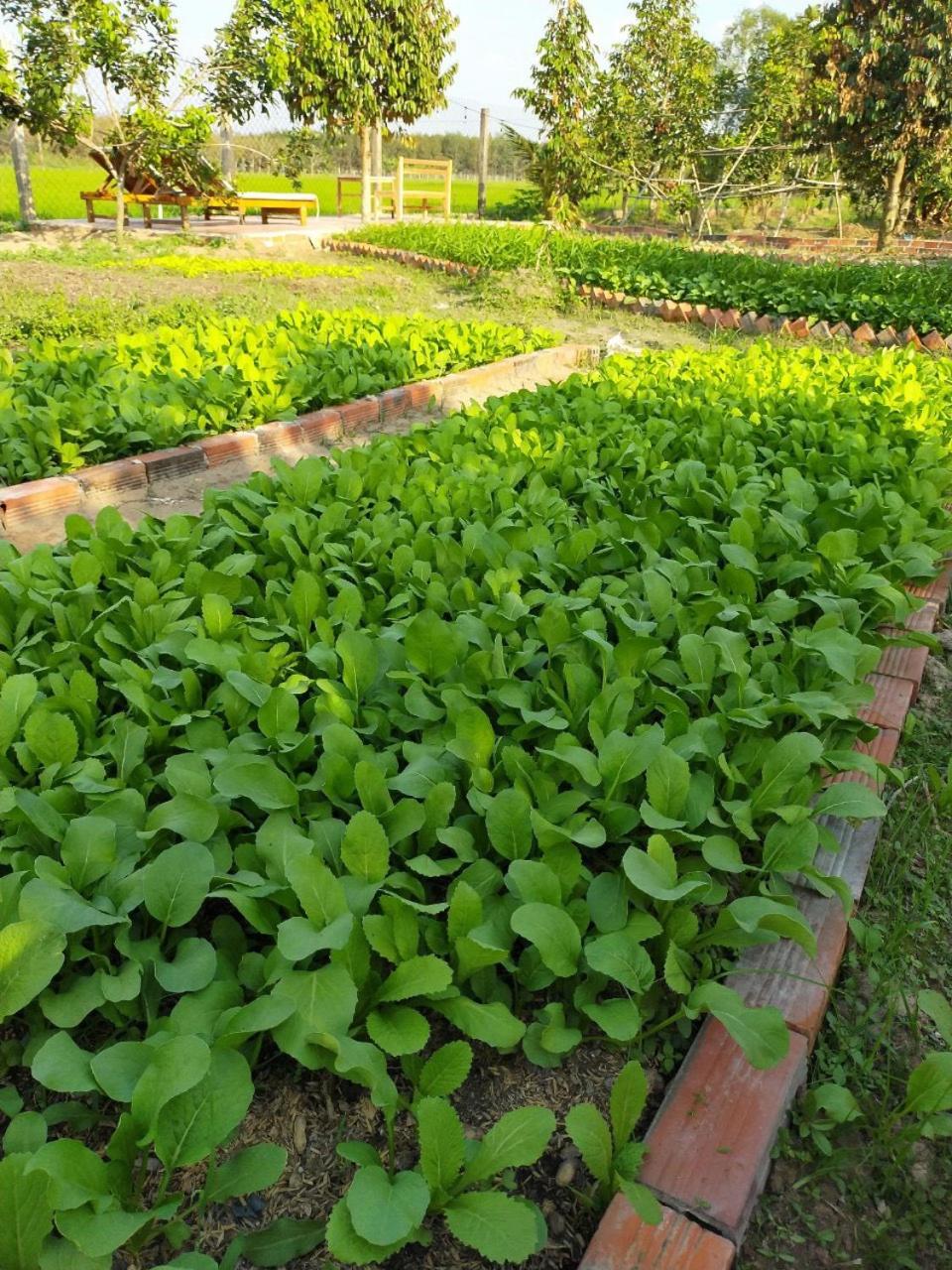 LA'S FARMSTAY