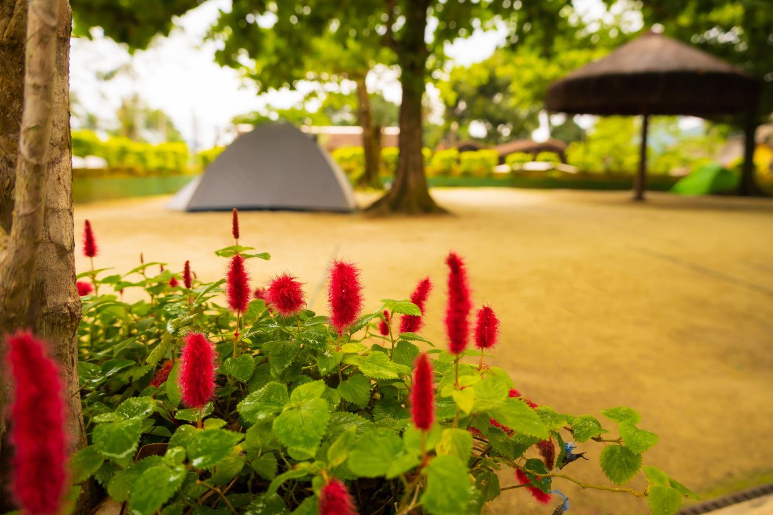 Raio de Sol pousada & camping view 5