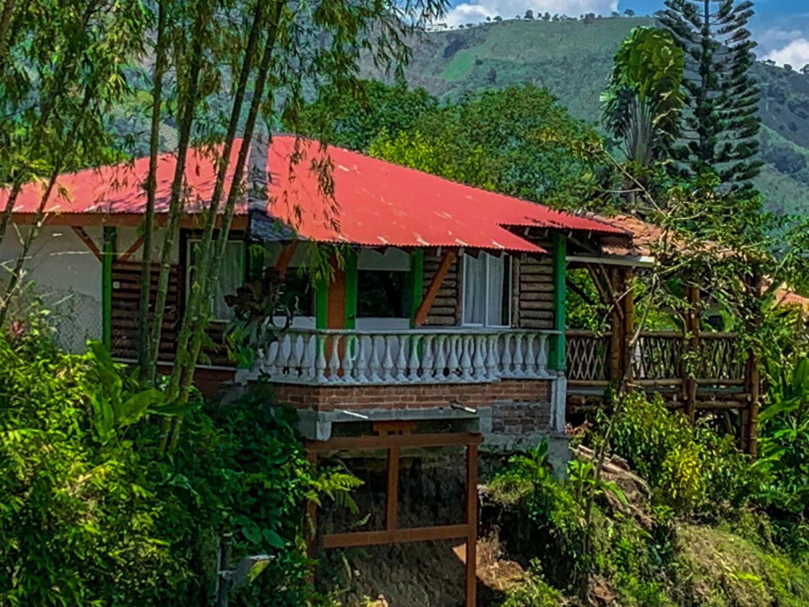 Lake View Family Cabin