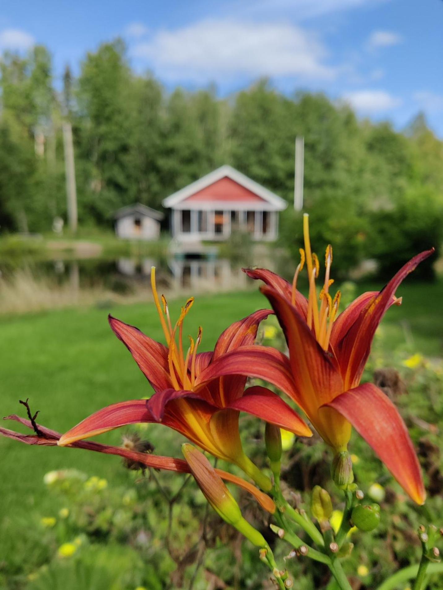 other