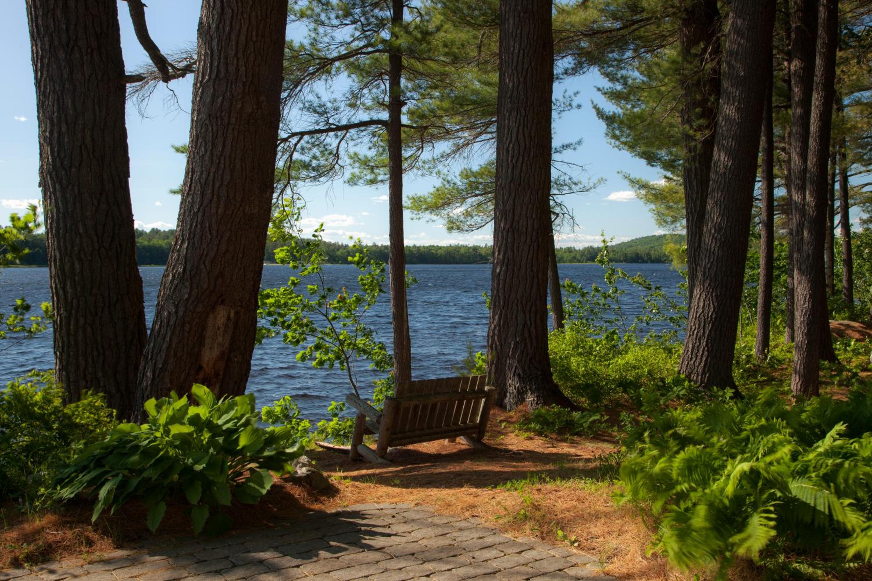 Wolf Cove Inn
