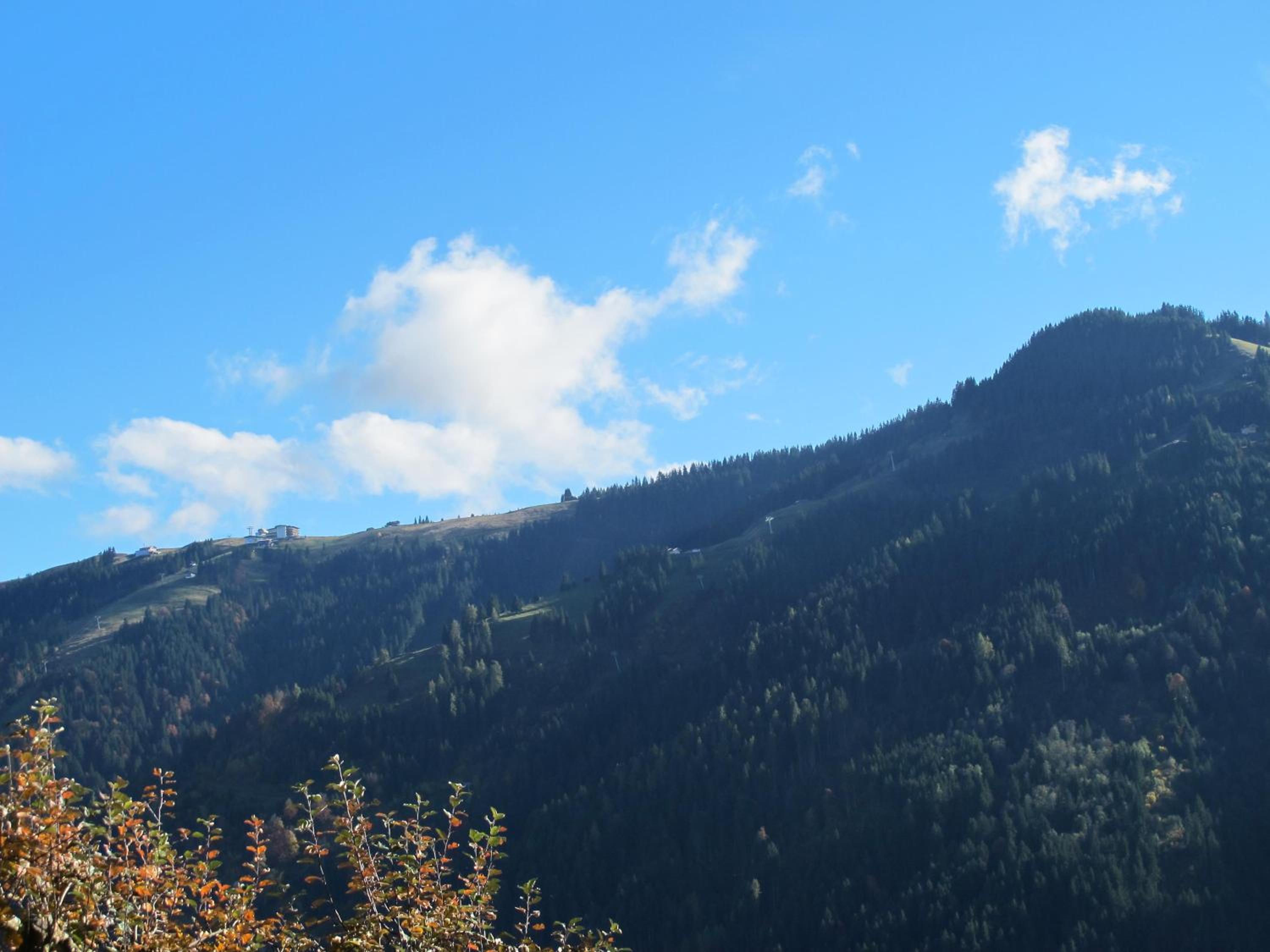 Leitnerhof