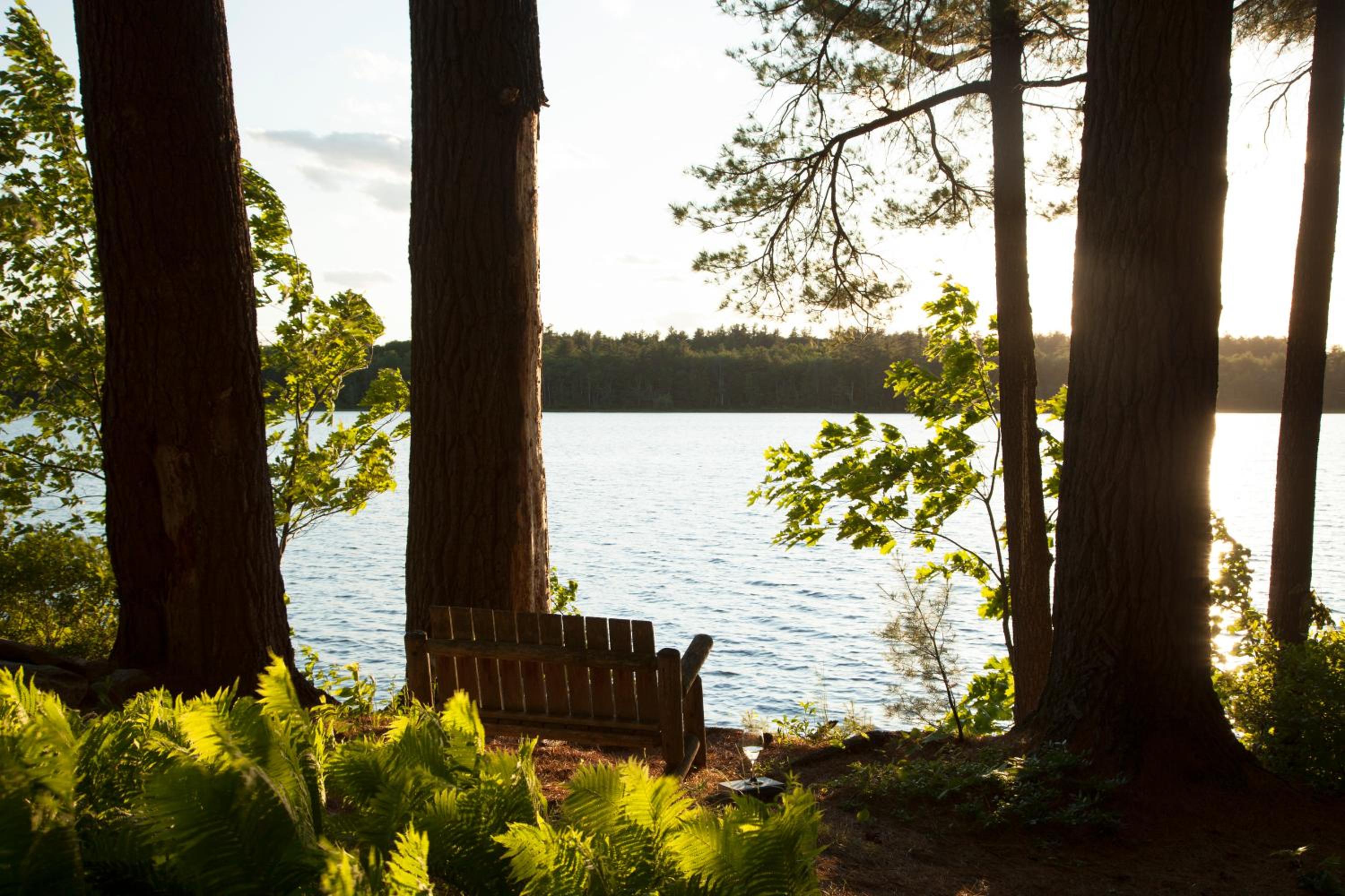 Wolf Cove Inn
