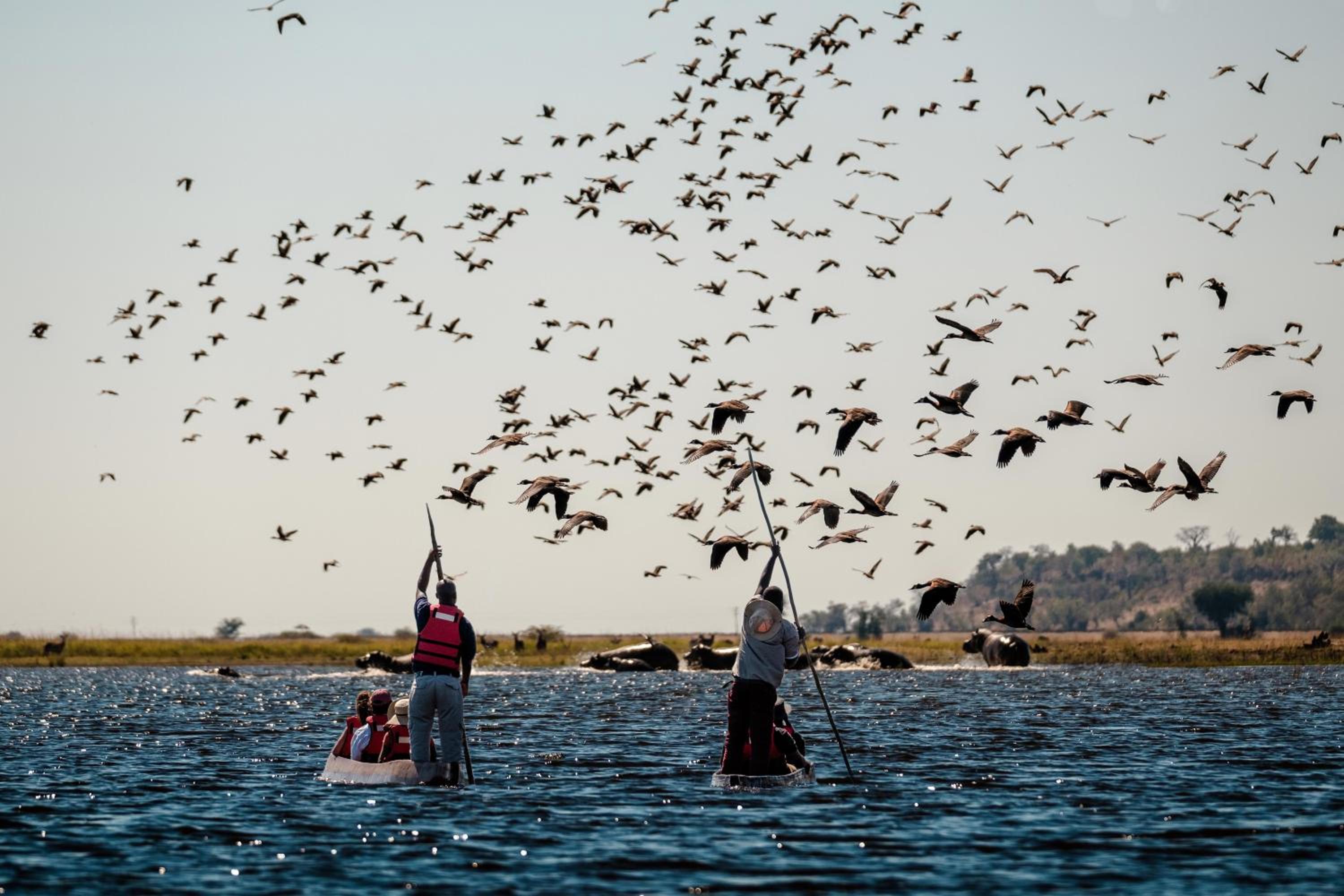 Chobe Marina Lodge
