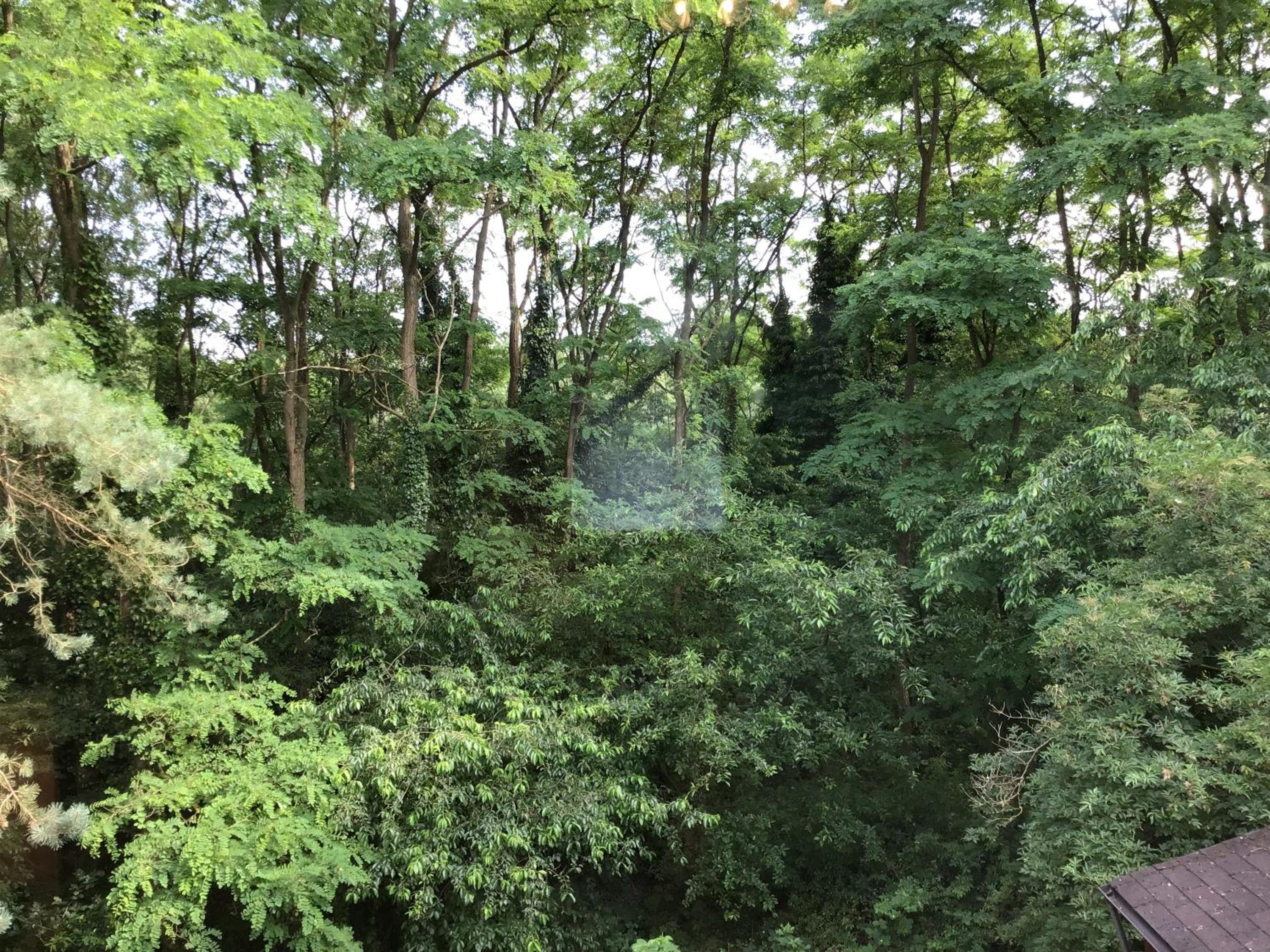 Charming house in the woods with private wellness