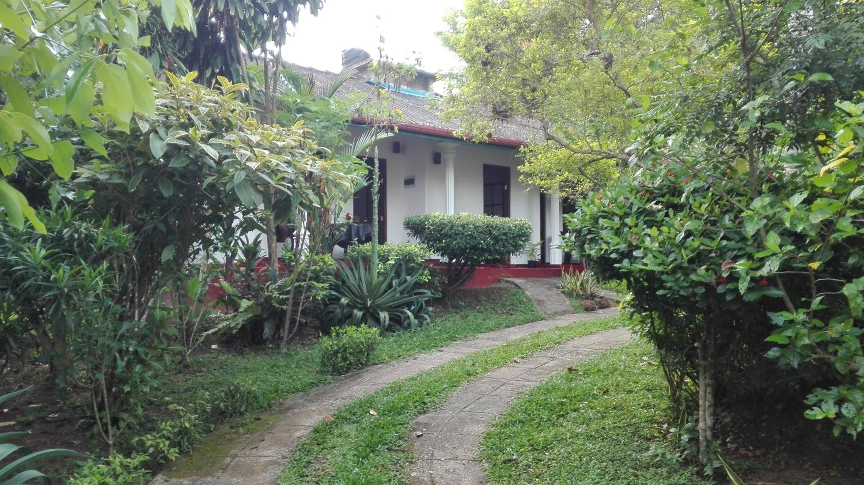 Photo 41