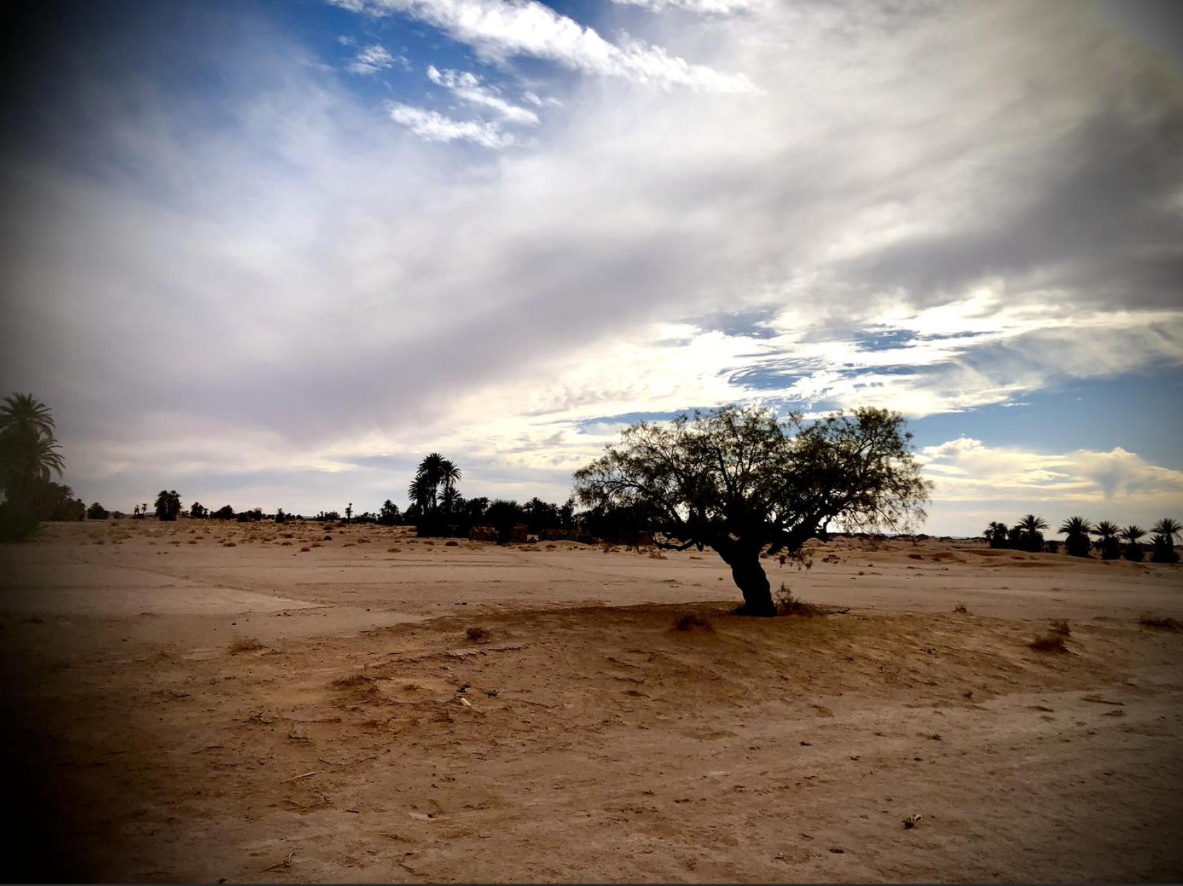 Photo 45