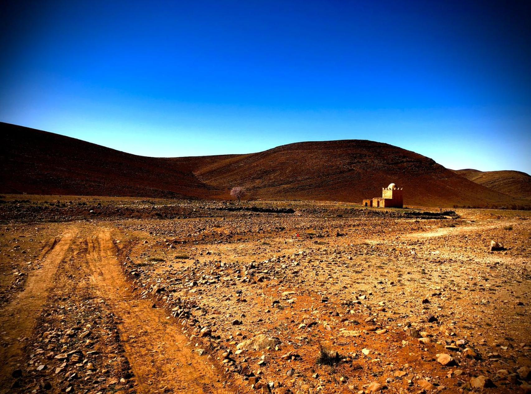 Photo 50