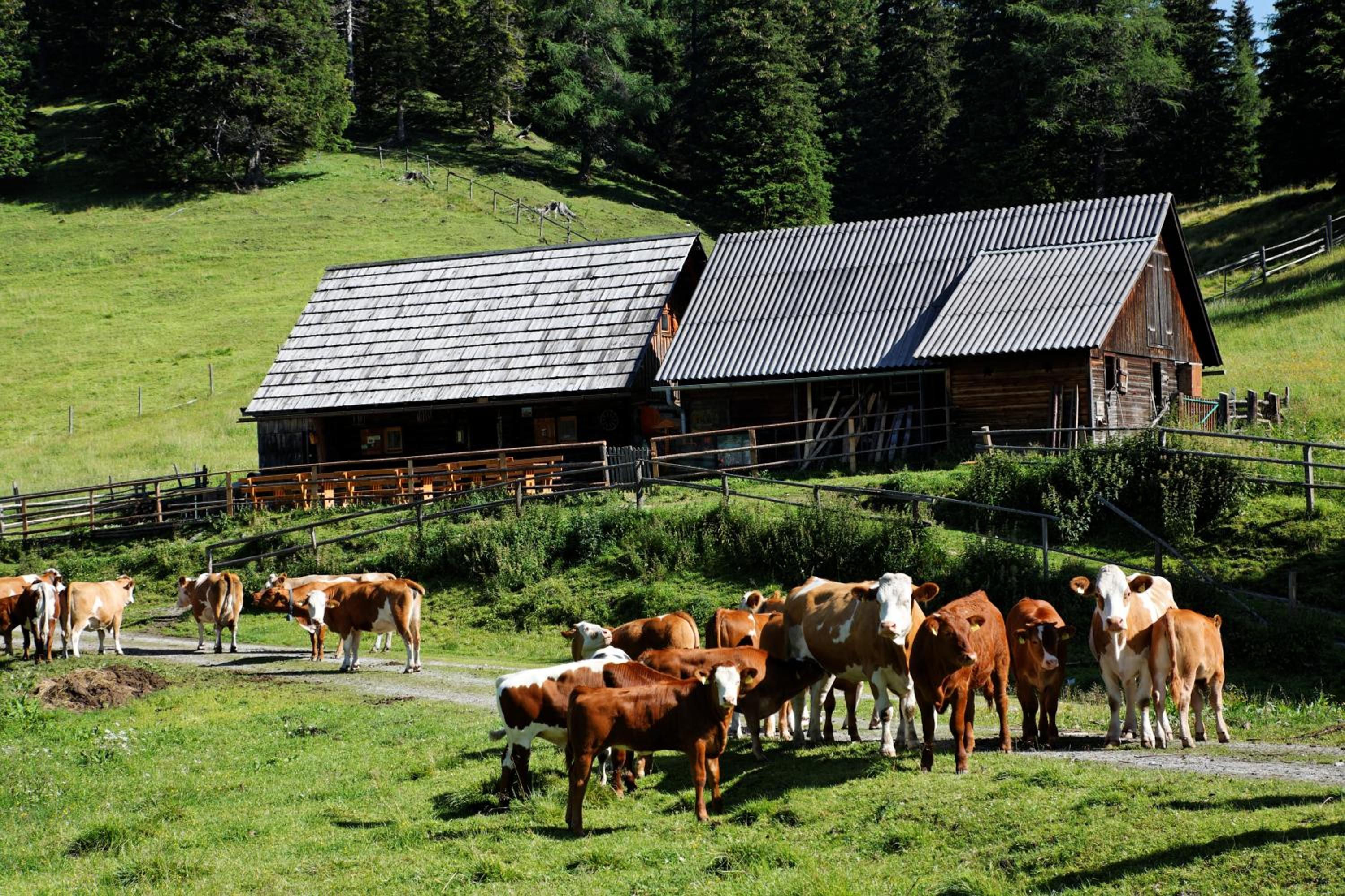 Tauern-Hütt'n - Alpenzauber
