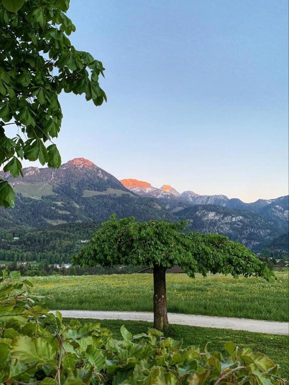 Pension Kohlhiasl view 5