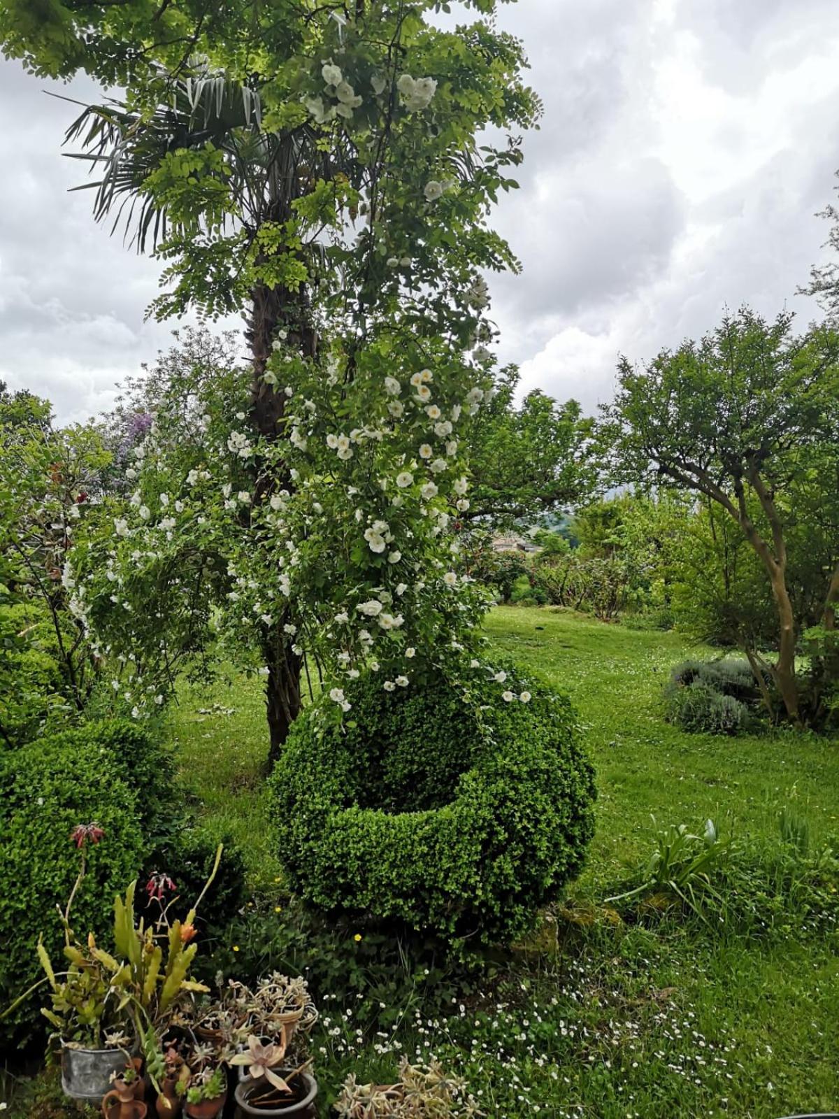 Photo 28