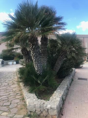 Photo 34