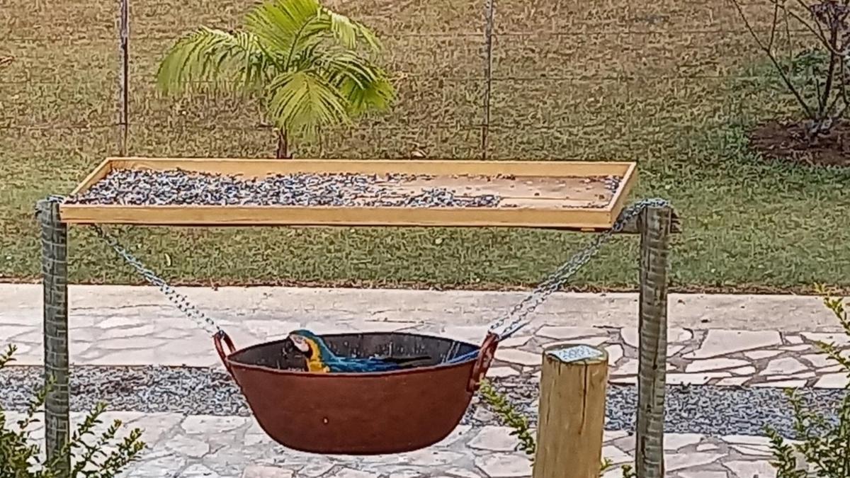 outdoor BBQ area