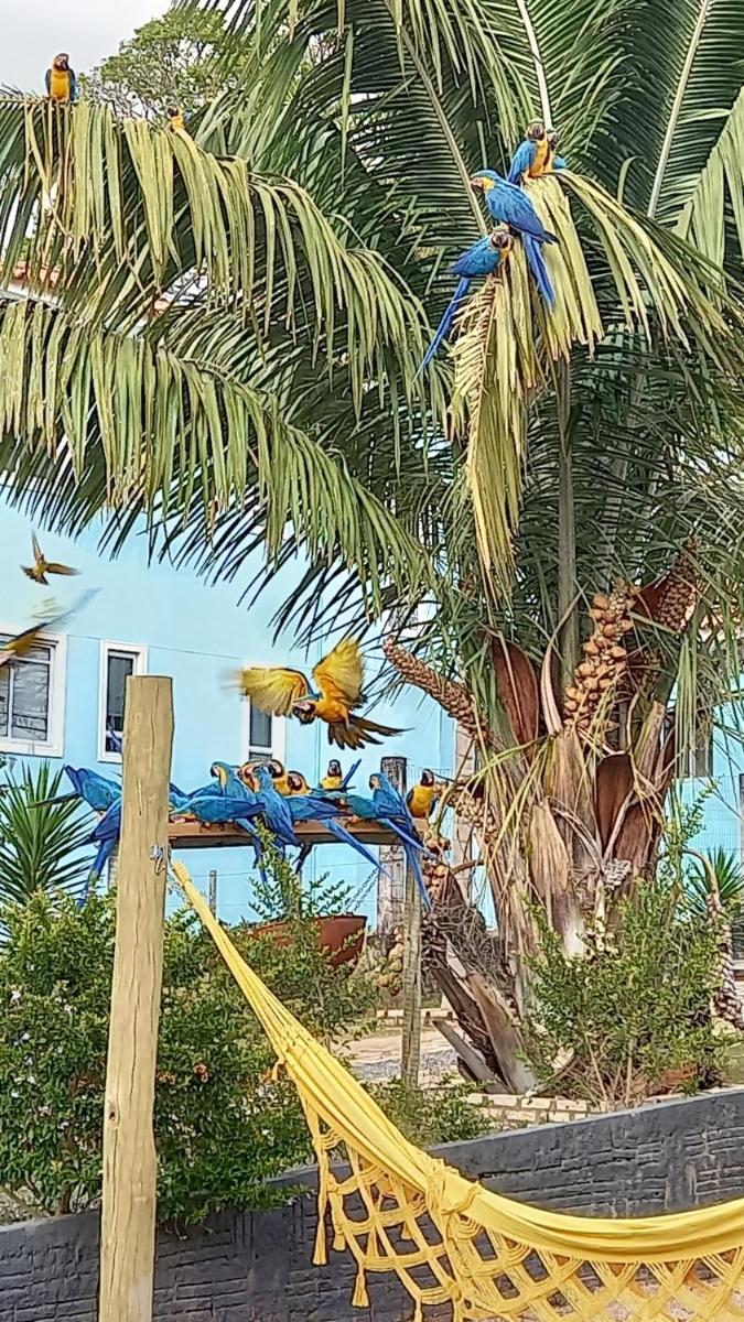 children's play area