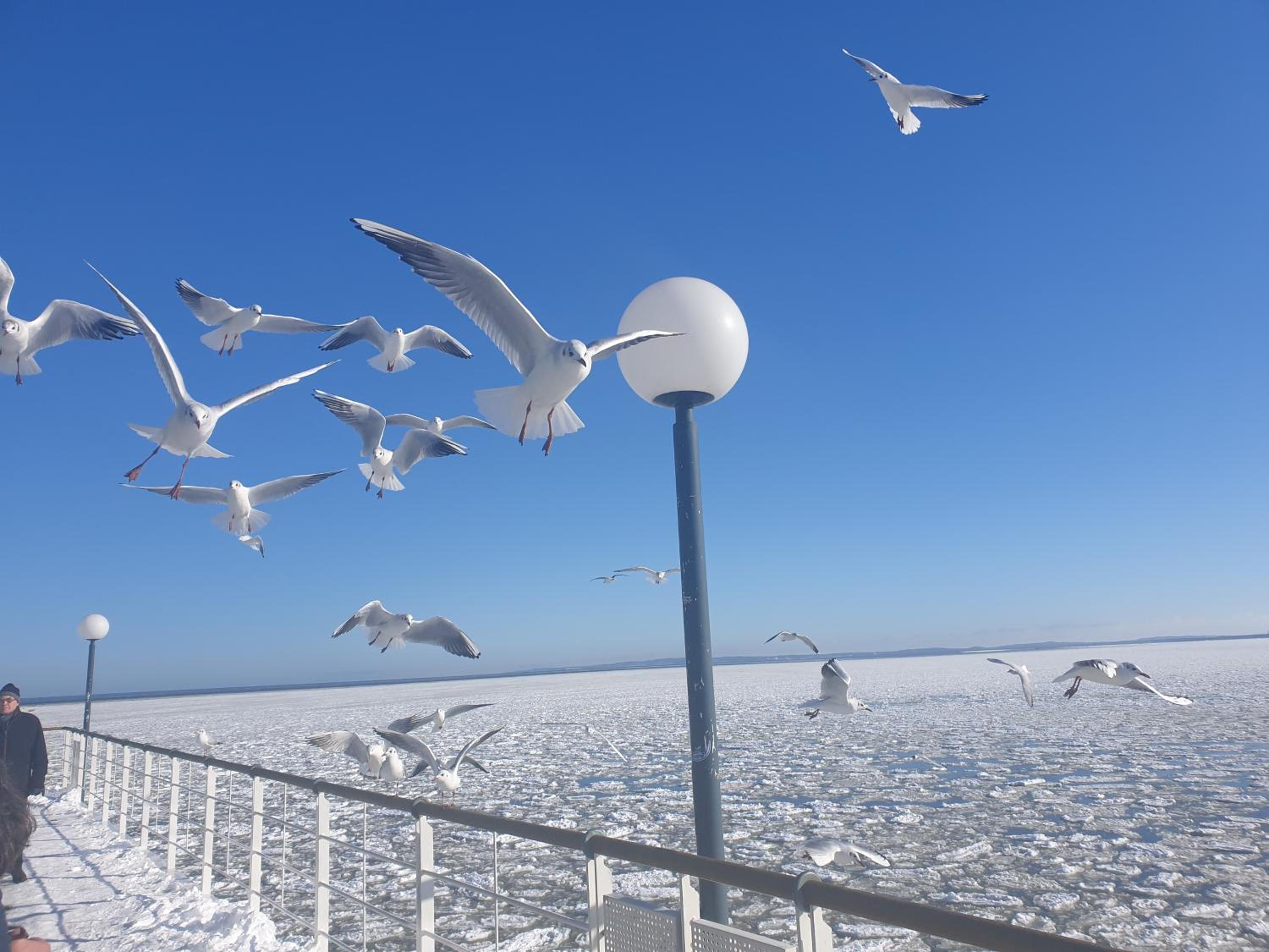 Bootshaus Usedom