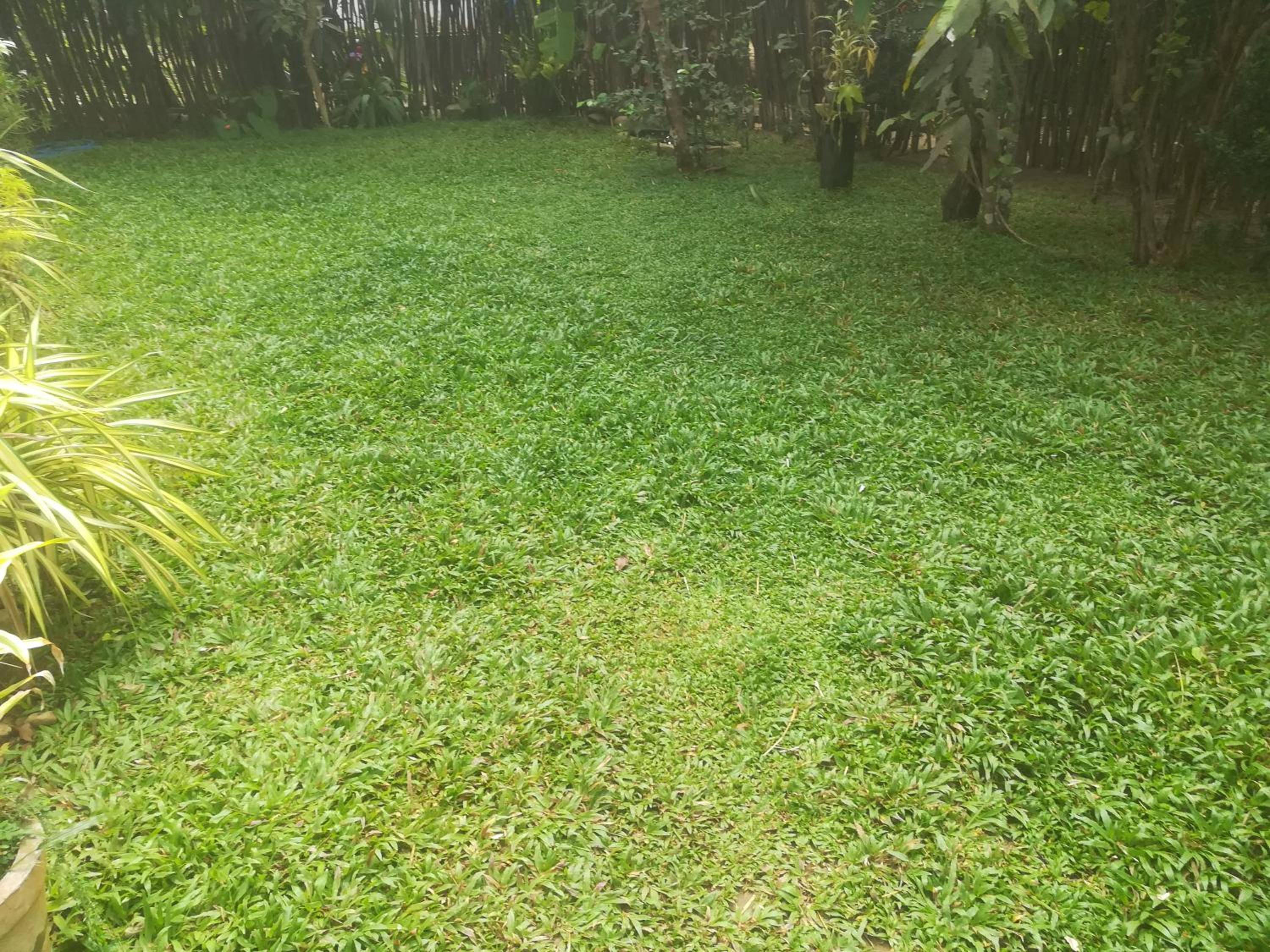 Photo 22