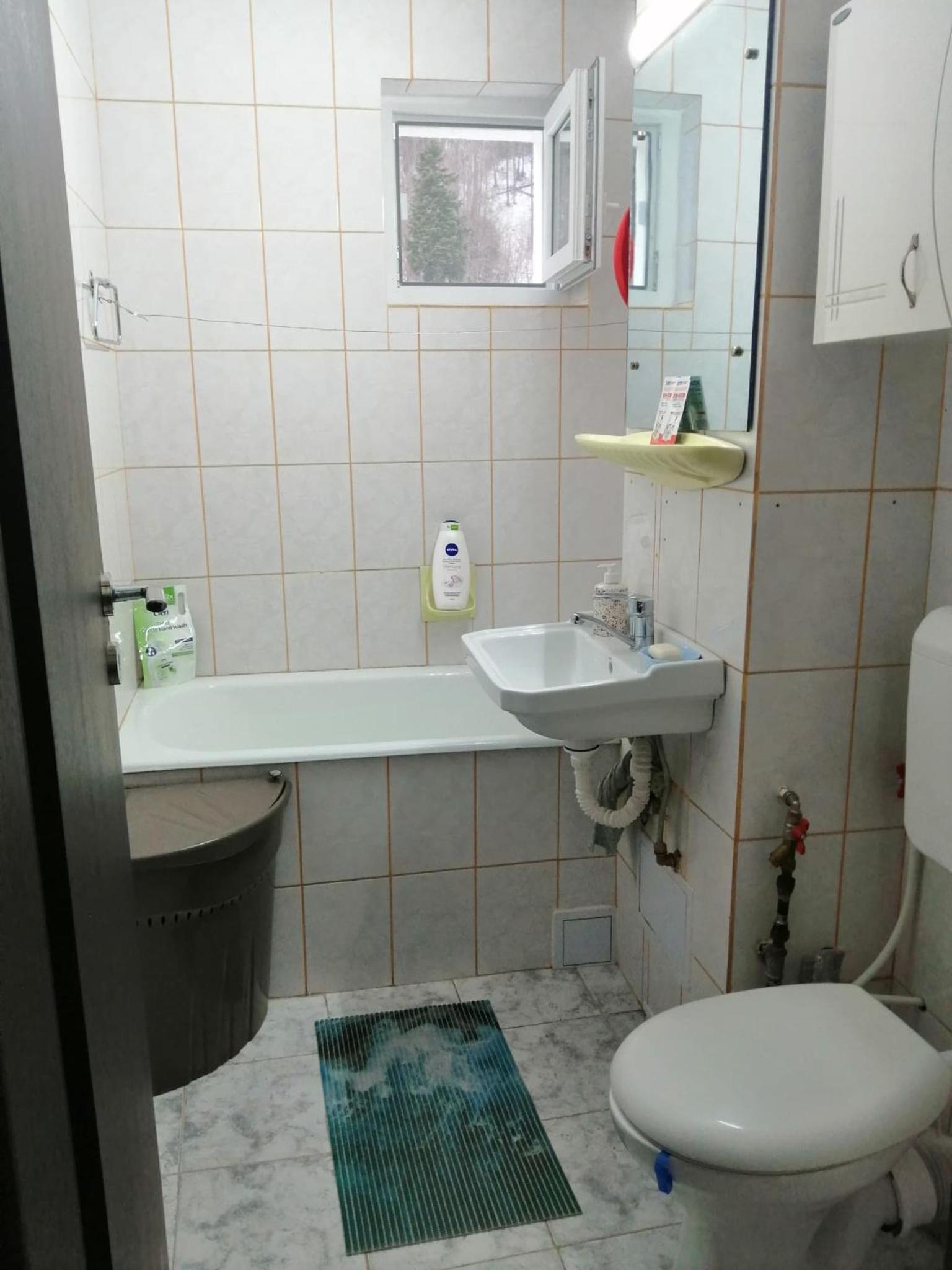 Apartment Valea Azugii view 5