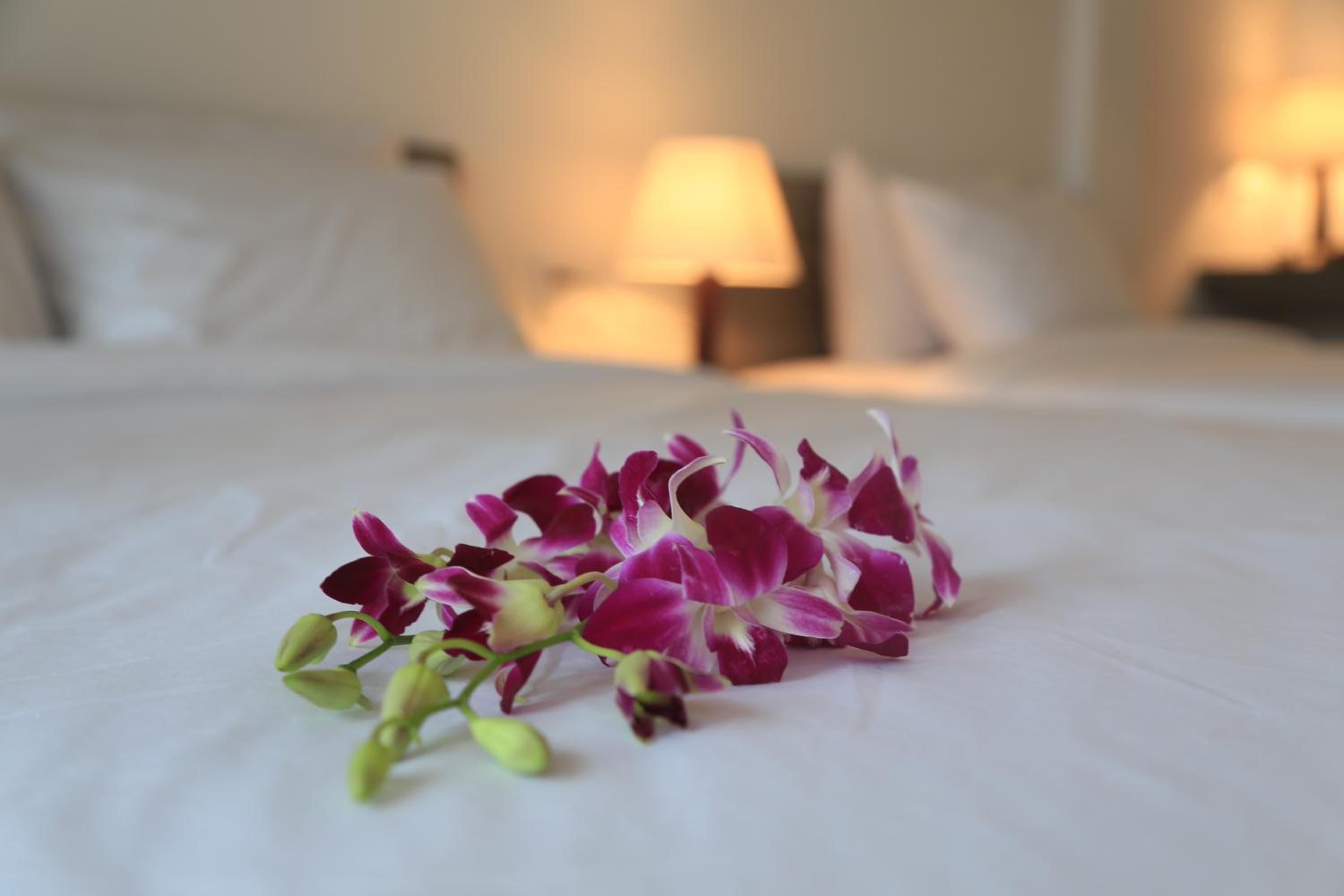 Ylang Garden Villa