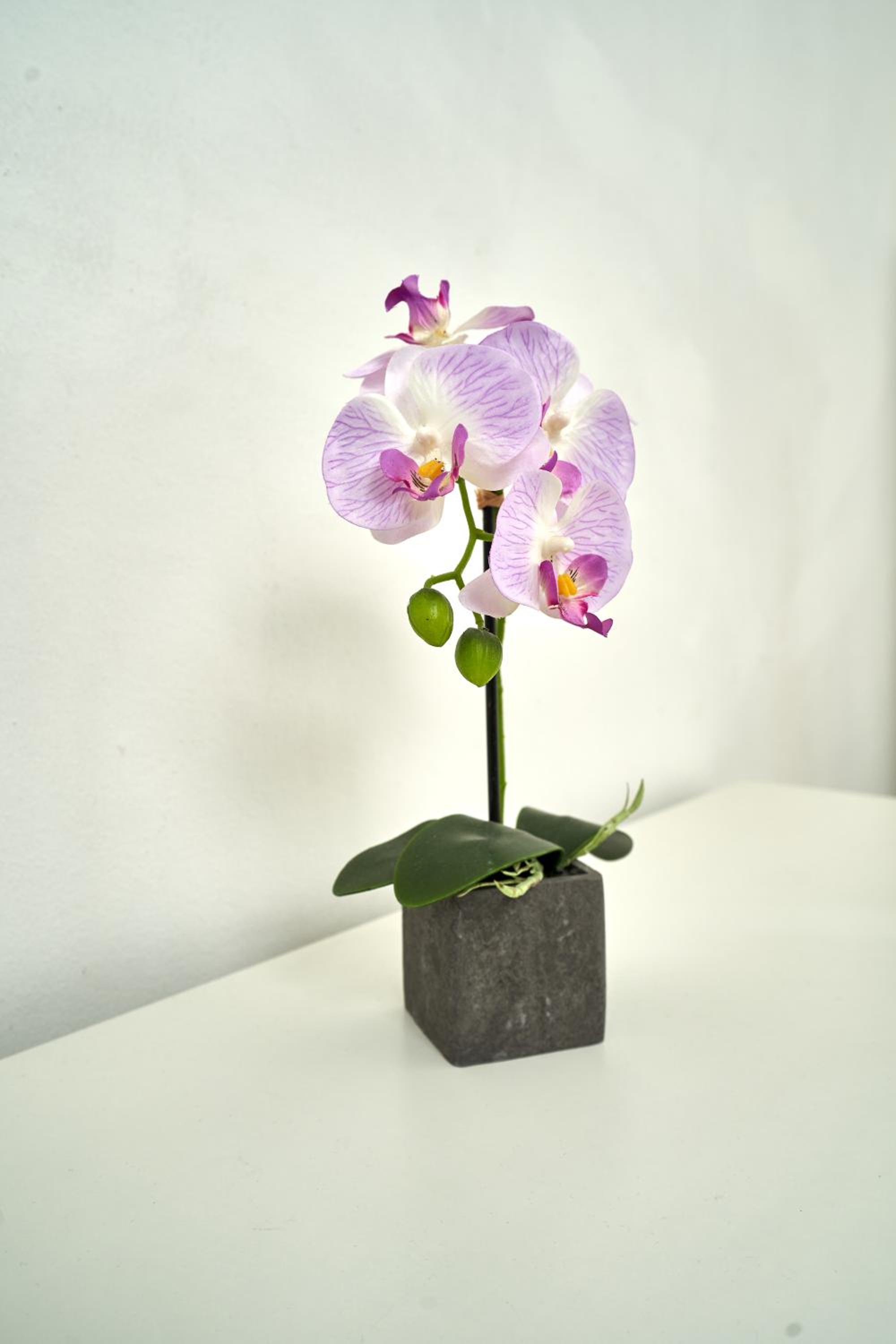 BNB Potsdamer Platz Rooms & Apartments
