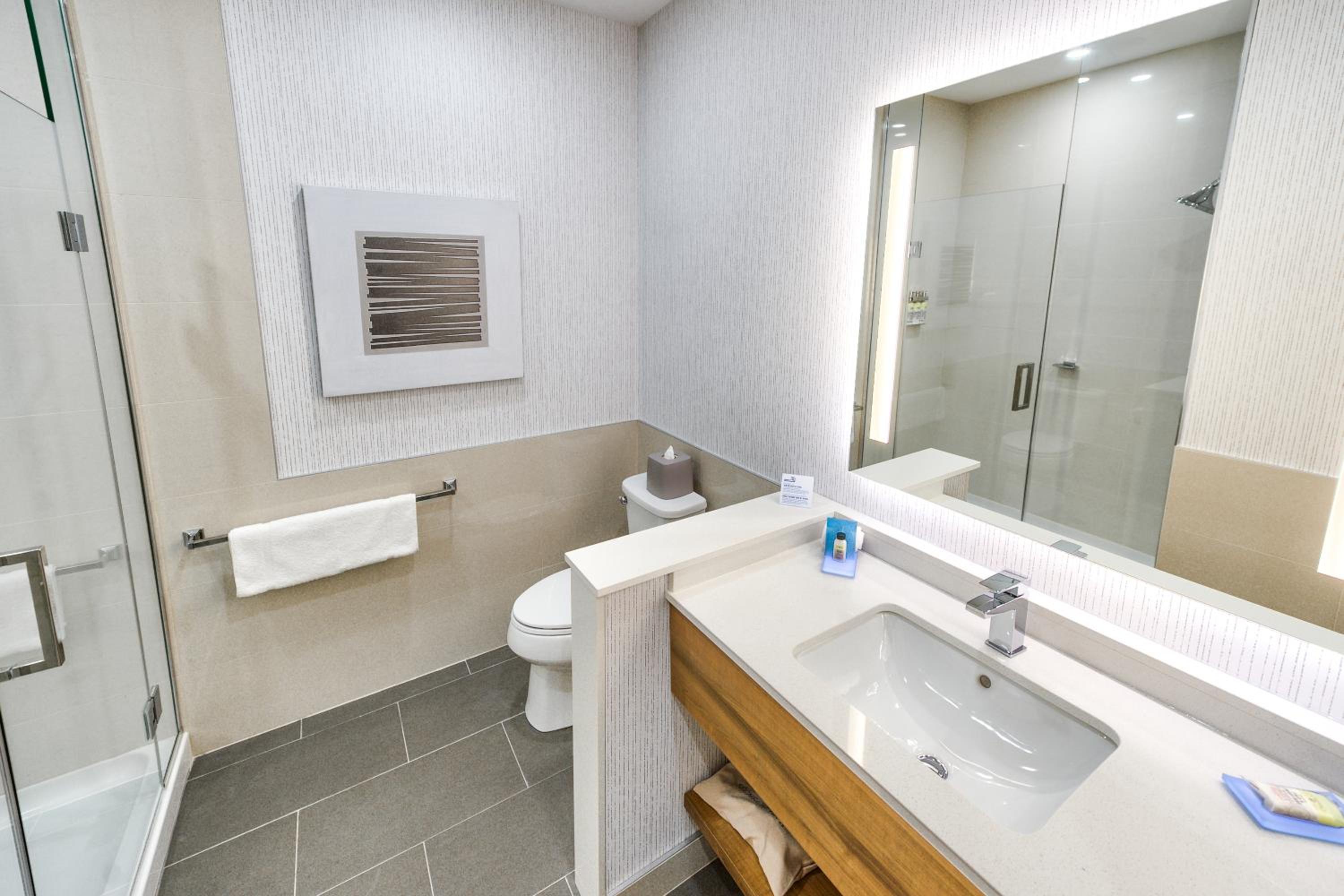Trois-rivieres Vacations - Holiday Inn Express Suites - Trois Rivieres Ouest, an IHG Hotel - Property Image 55