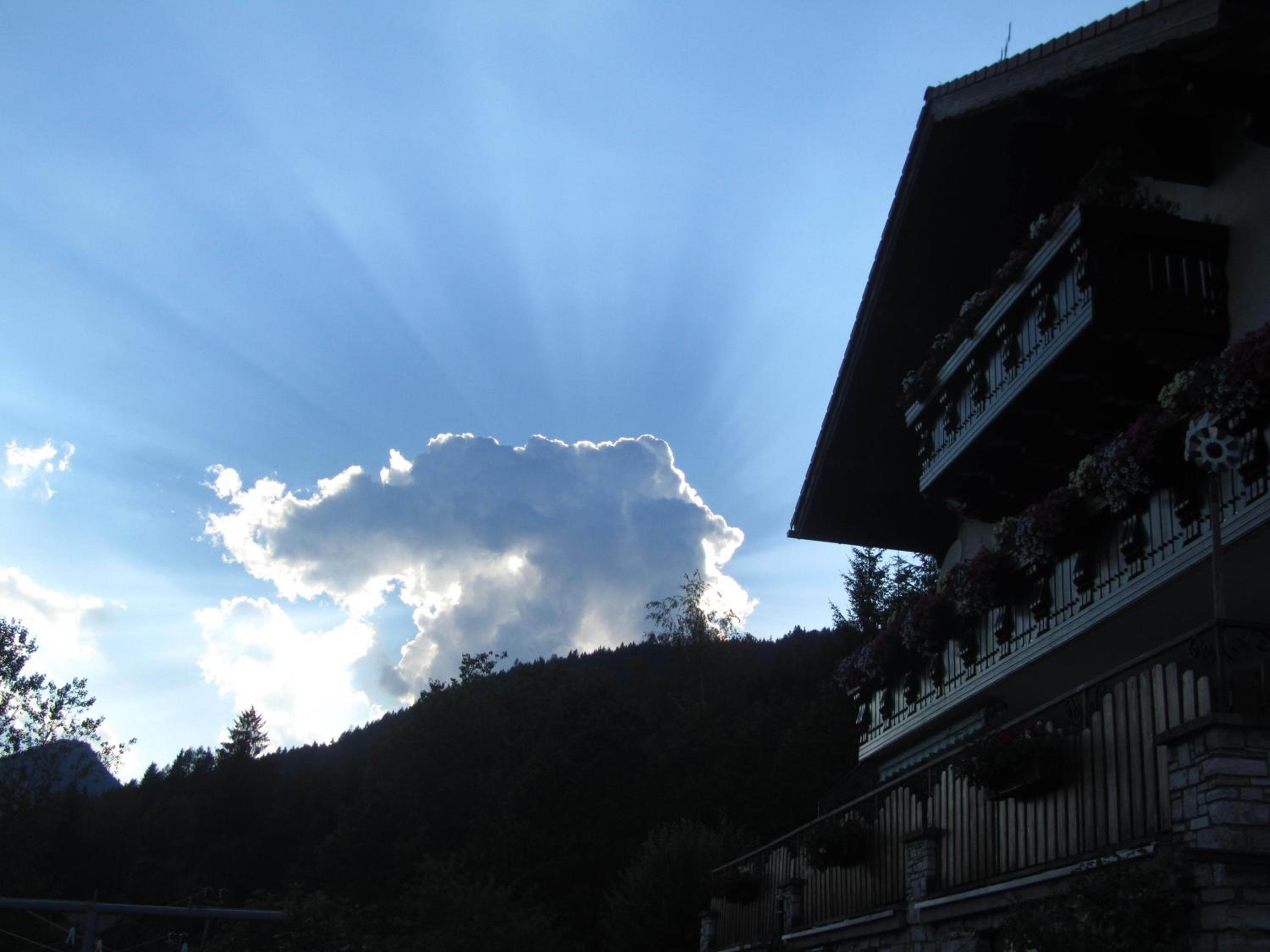 Photo 40