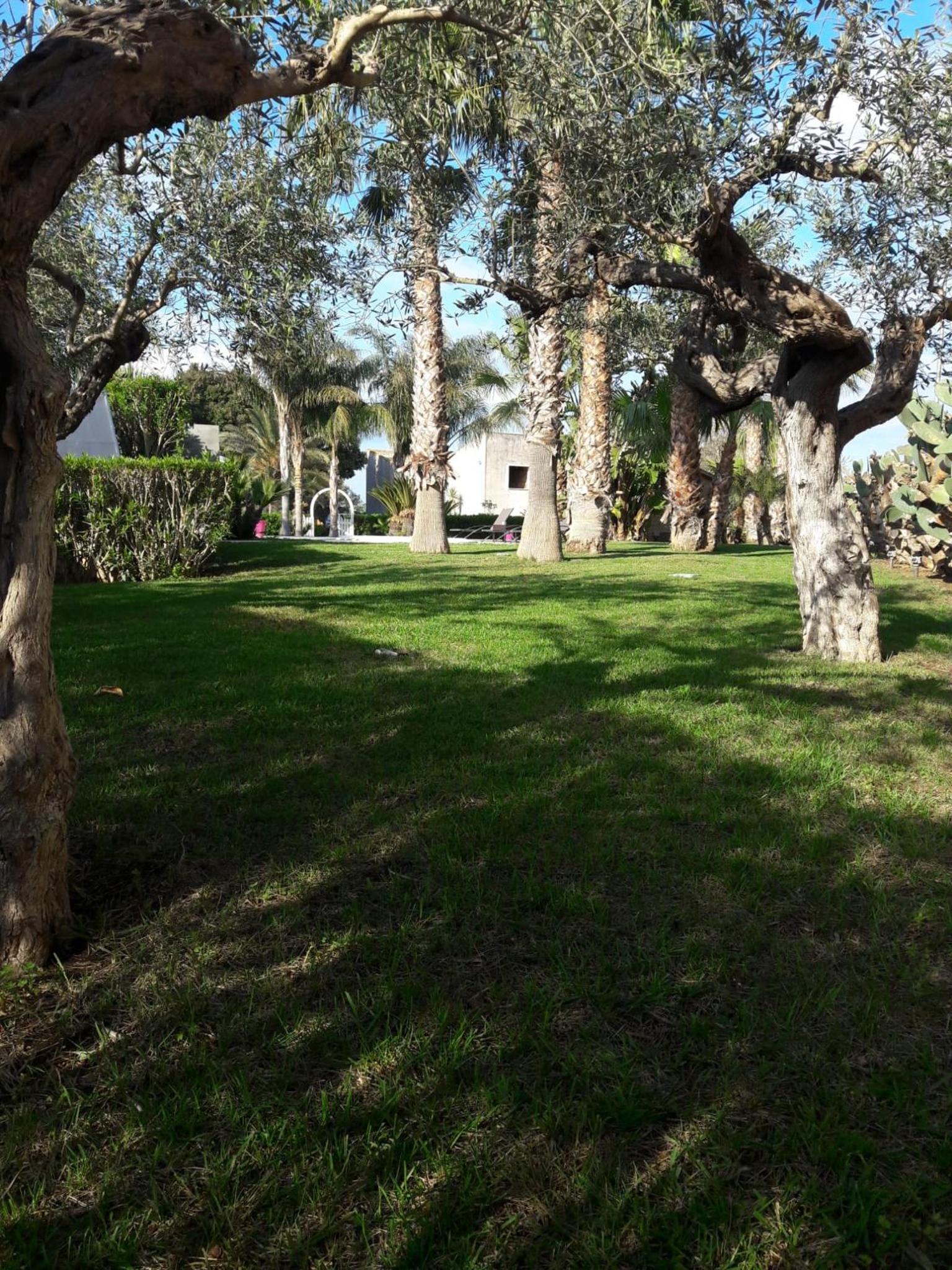 Photo 26