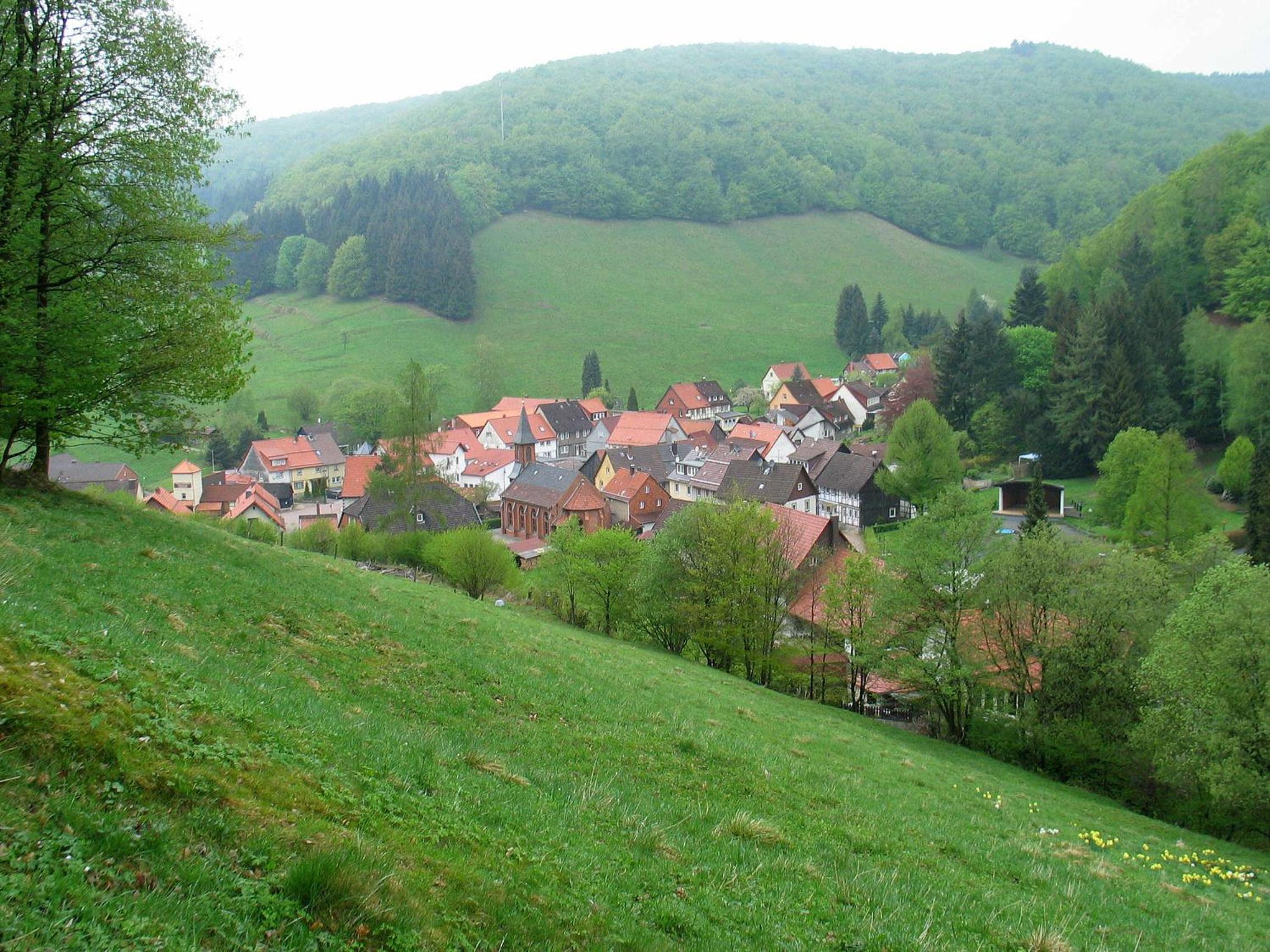 Photo 8
