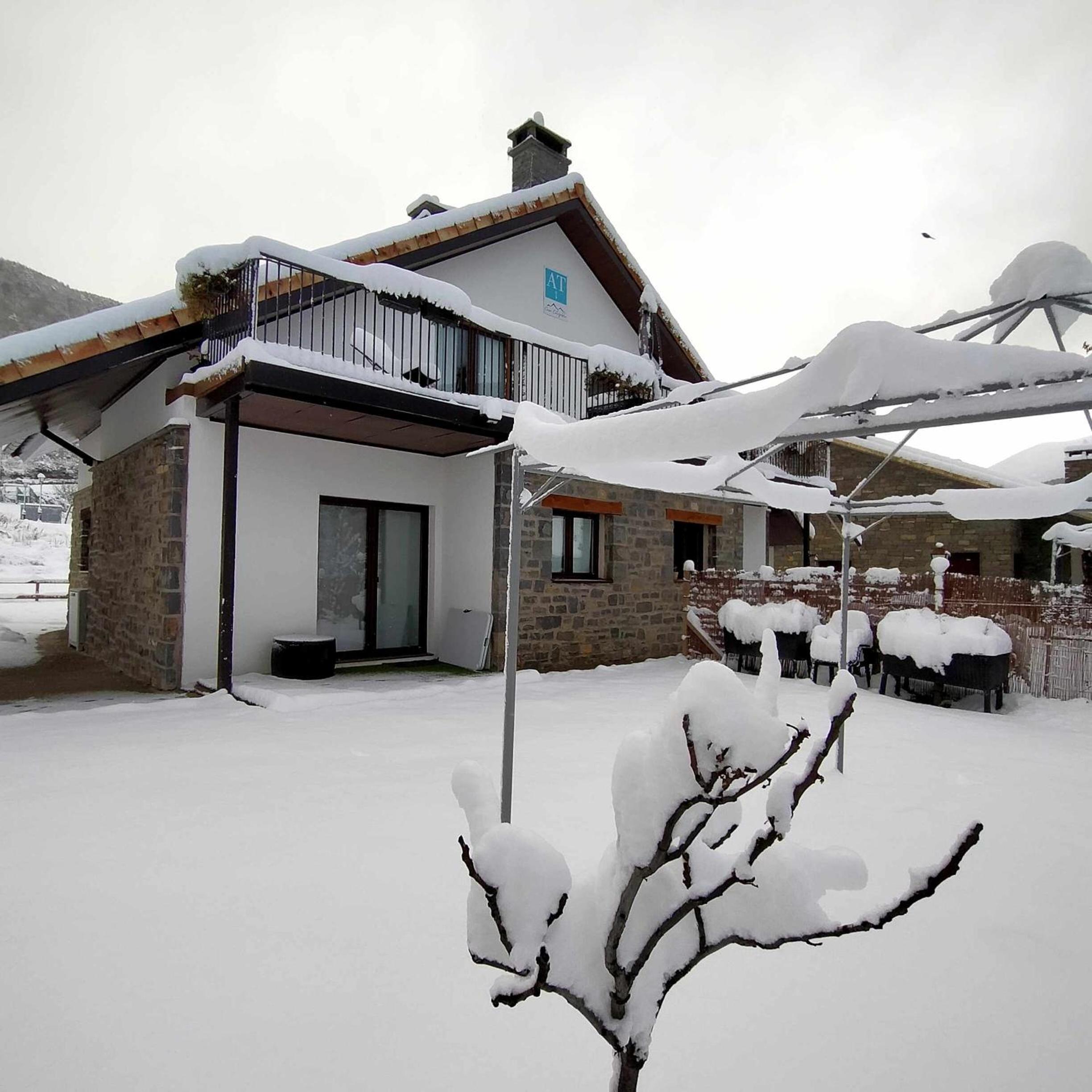 Photo 41