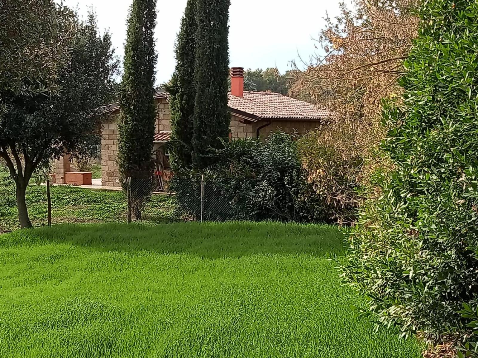 Photo 31