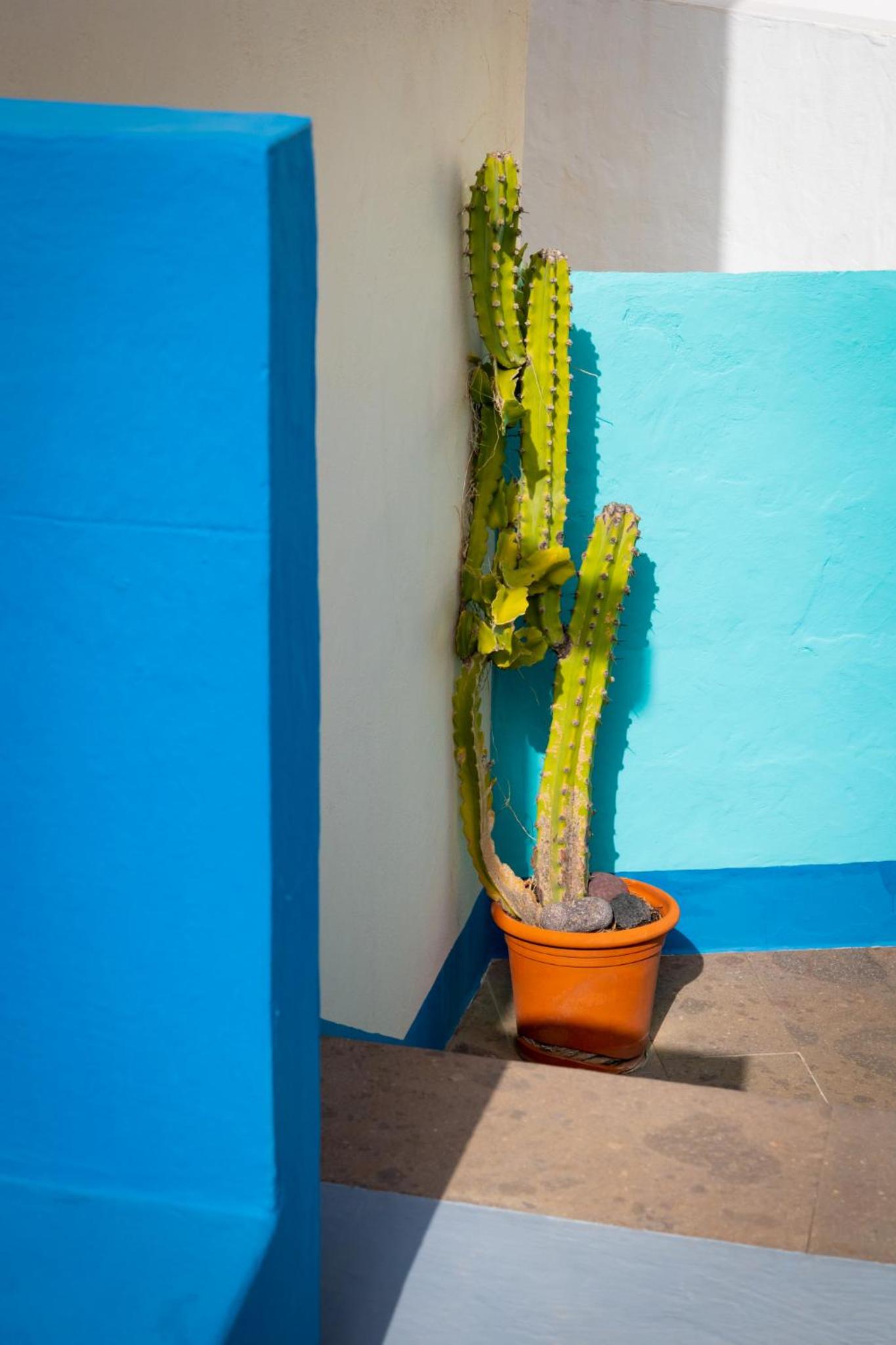 Casa Luna